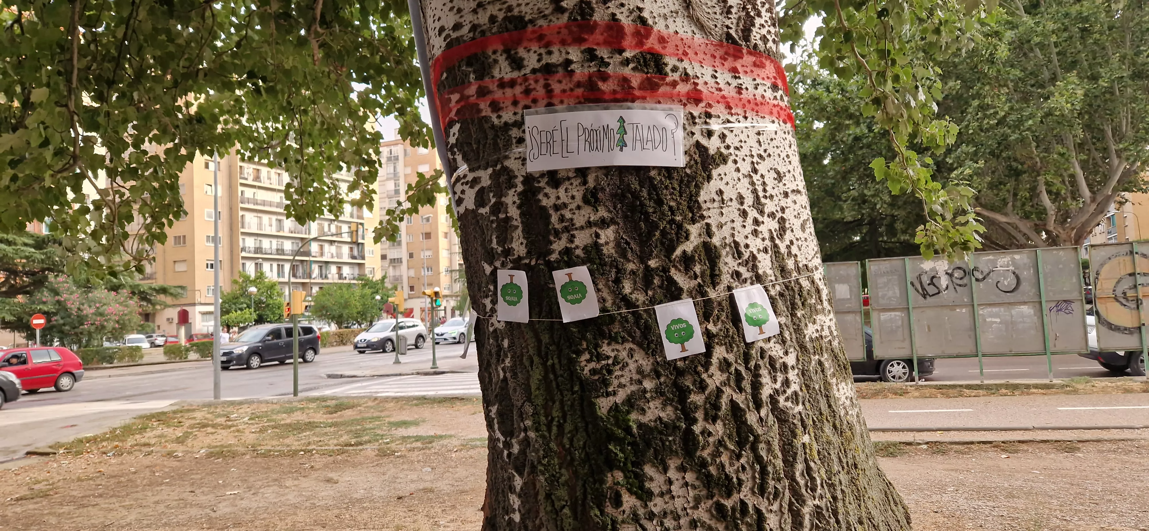 Árboles Vivos Huesca. Foto Myriam Martínez 