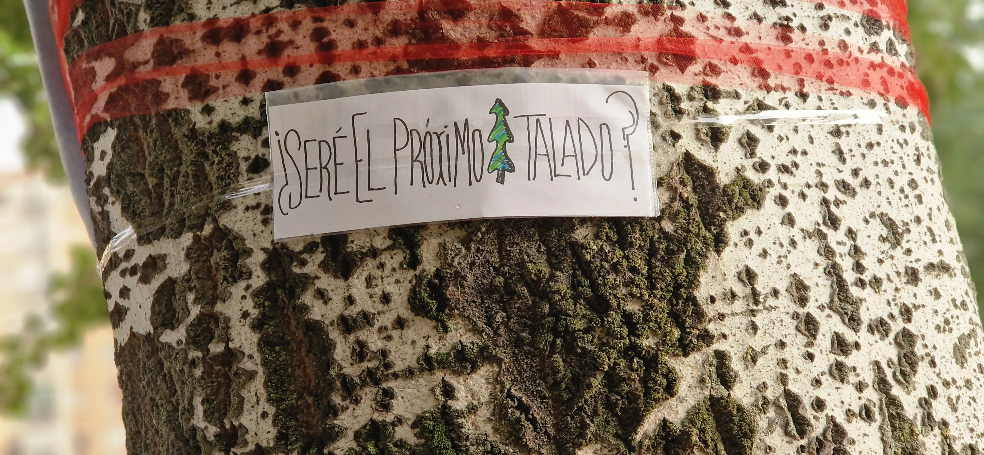 Árboles Vivos Huesca. Foto Myriam Martínez 