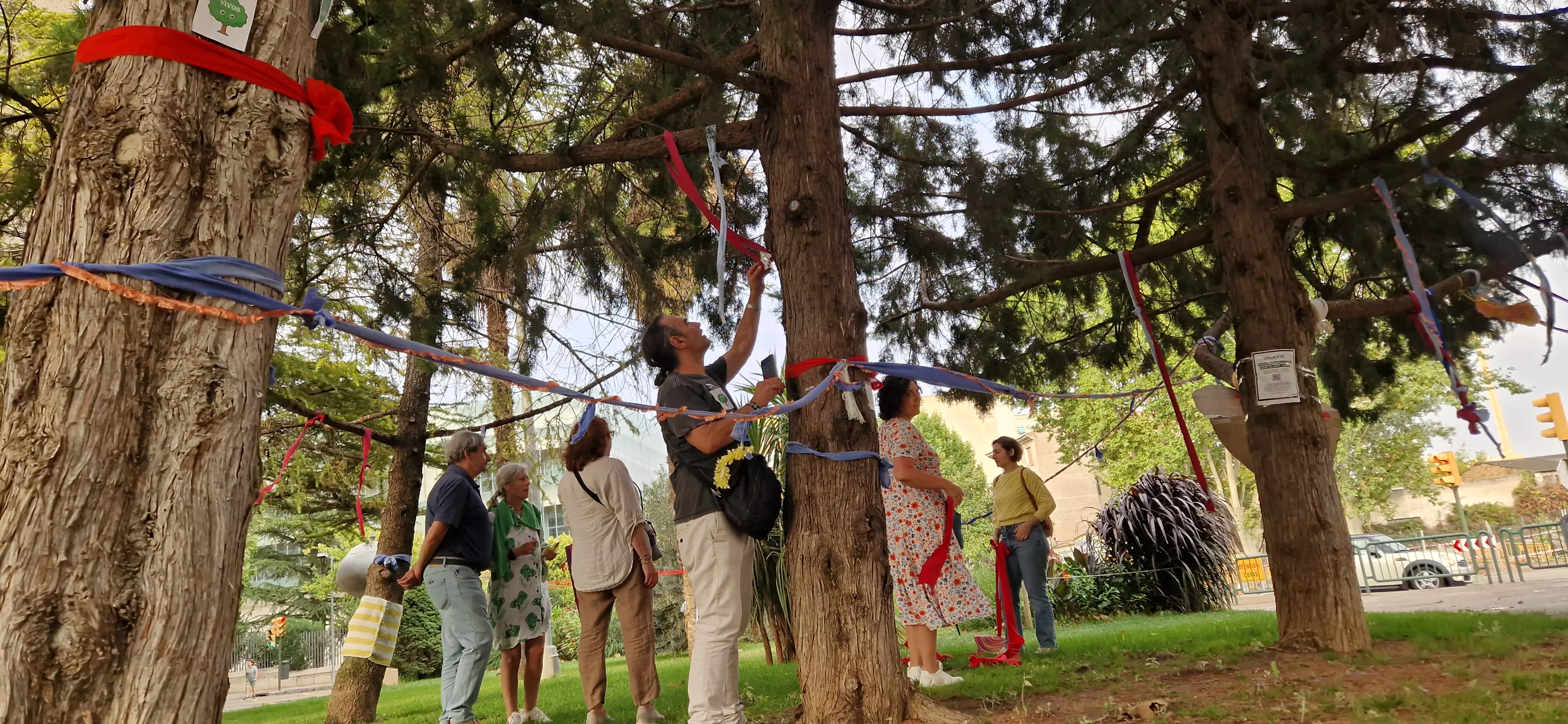 Árboles Vivos Huesca. Foto Myriam Martínez 