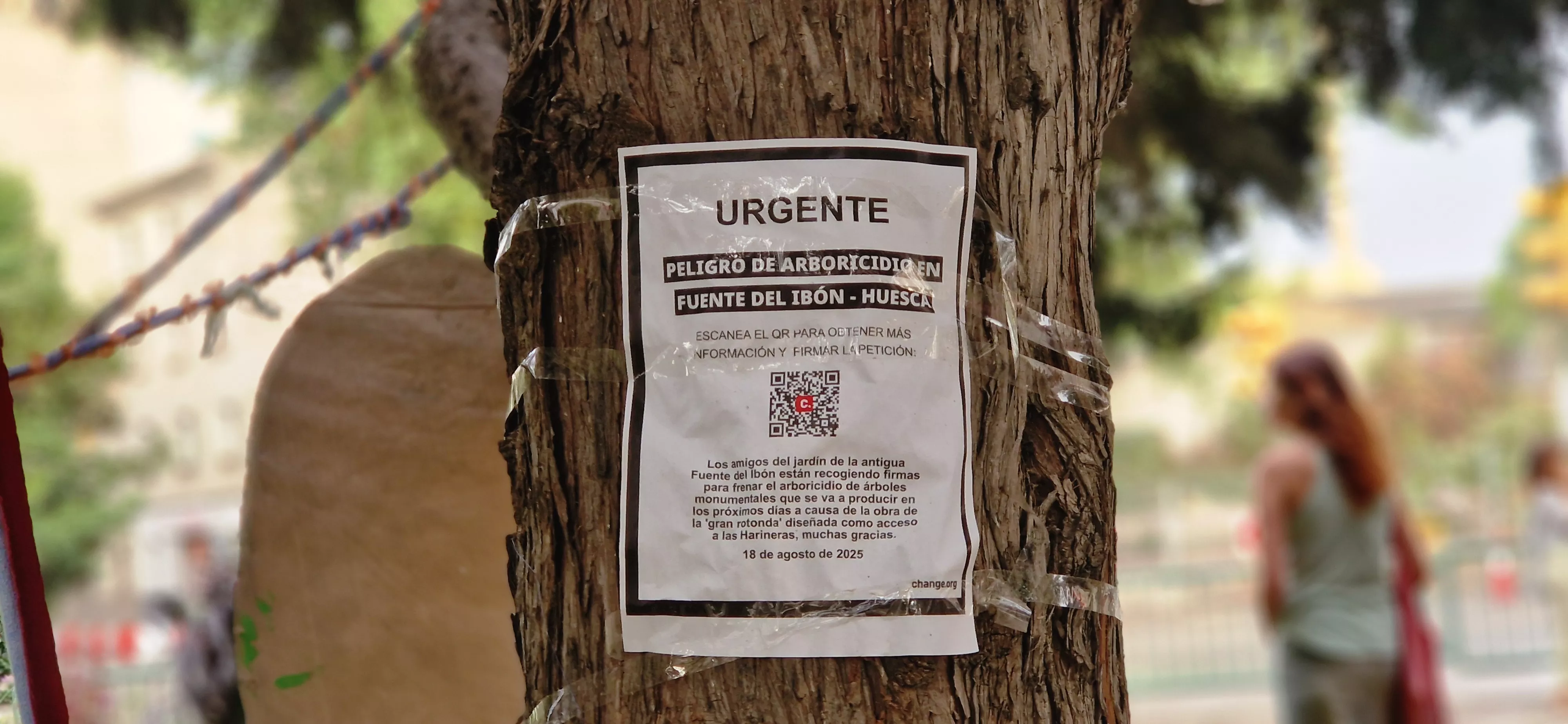 Árboles Vivos Huesca. Foto Myriam Martínez 