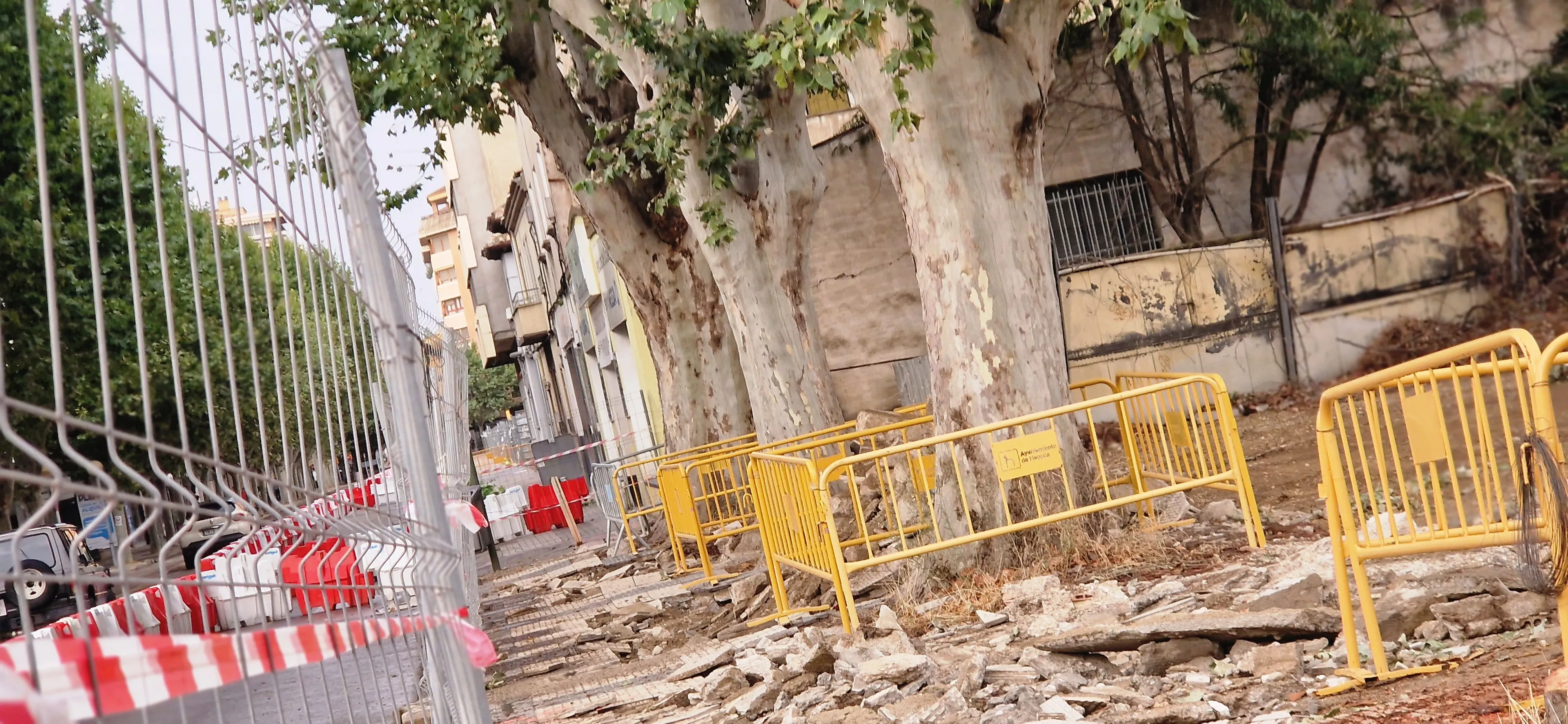 Árboles talados en Martínez de Velasco. Foto Myriam Martínez 