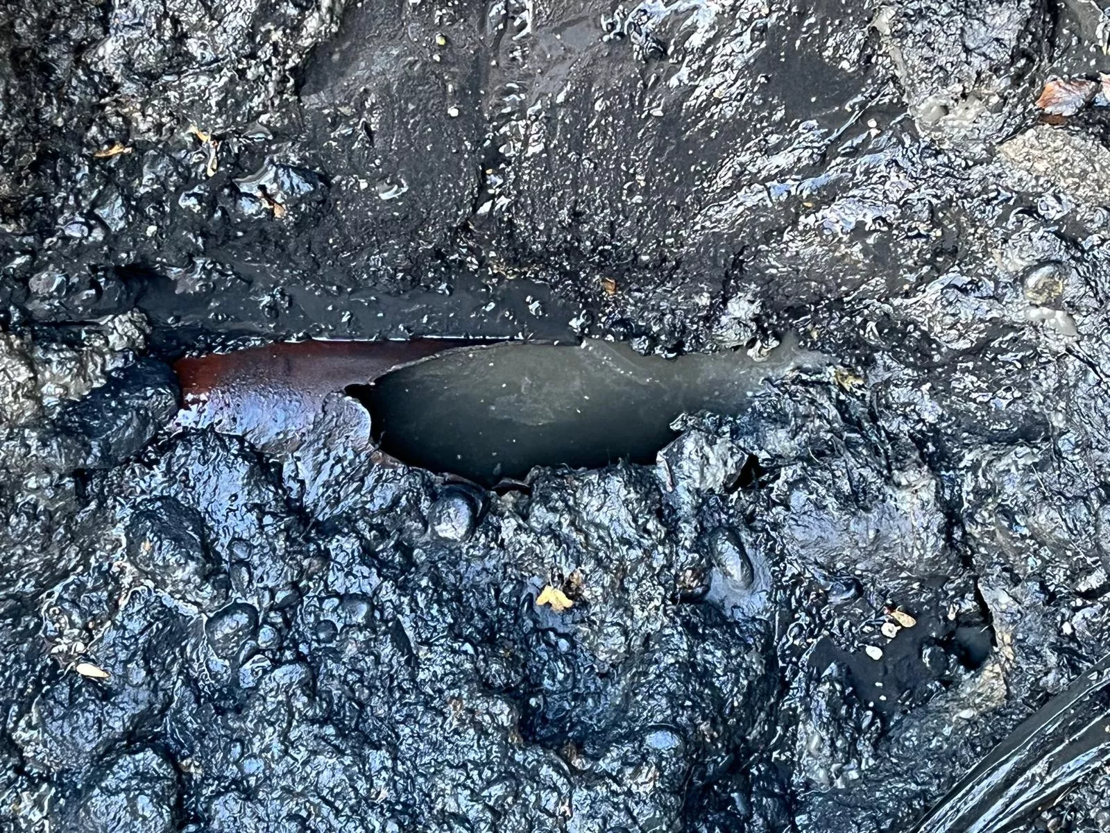 Deficiencias en el Edificio Laurentis de Huesca