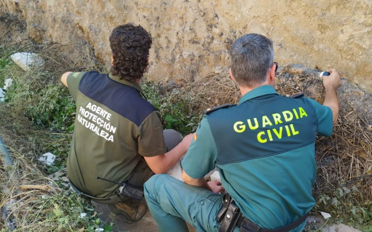 Un guardia civil y un APN analizan los indicios