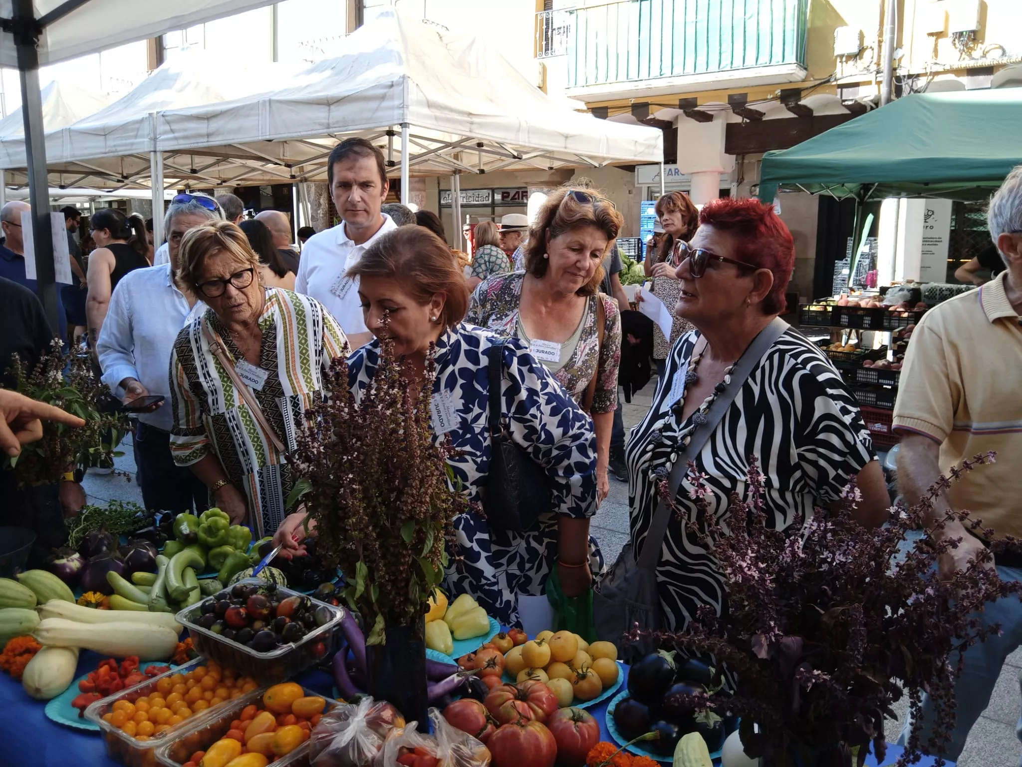 Muestra de Frutas y Hortalizas de Barbastro