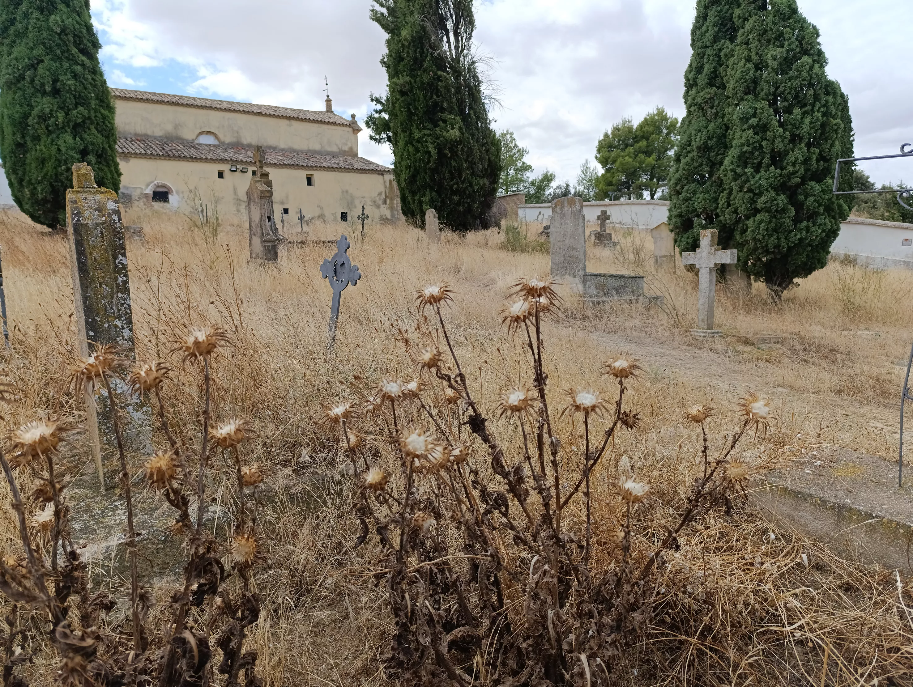 Cementerio de las Mártires. Foto PSOE Huesca