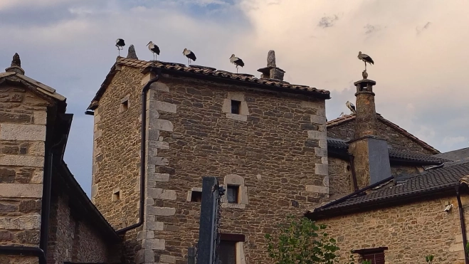 Lecina, tomada por las ciconia ciconi Lecina, tomada por las ciconia ciconi