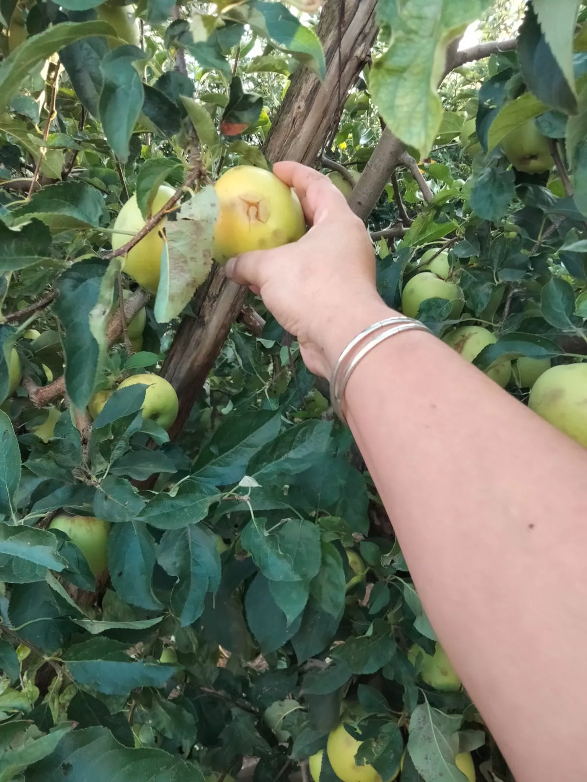 Daños del temporal en Binéfar y Barbastro