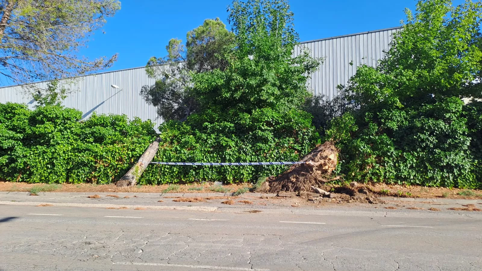 Daños del temporal en Binéfar y Barbastro
