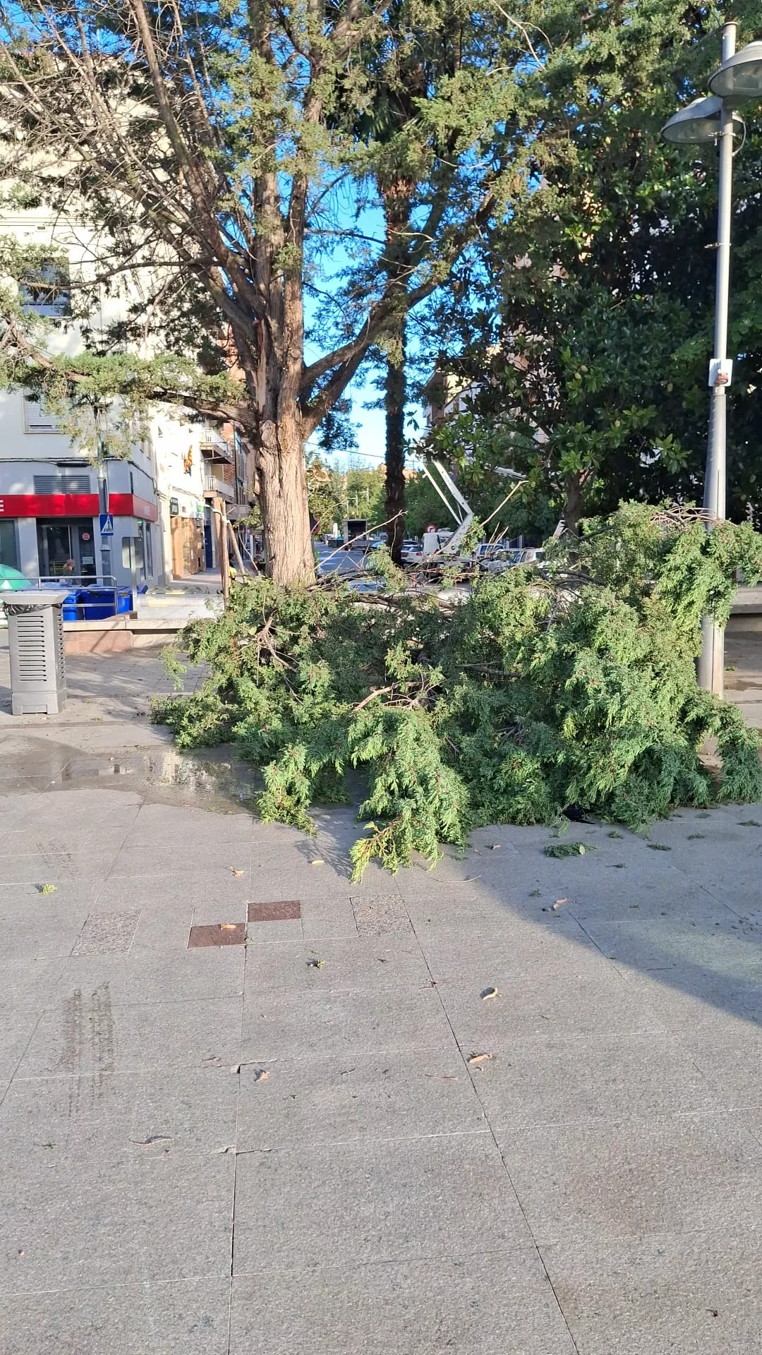 Vendaval sobre Binéfar 