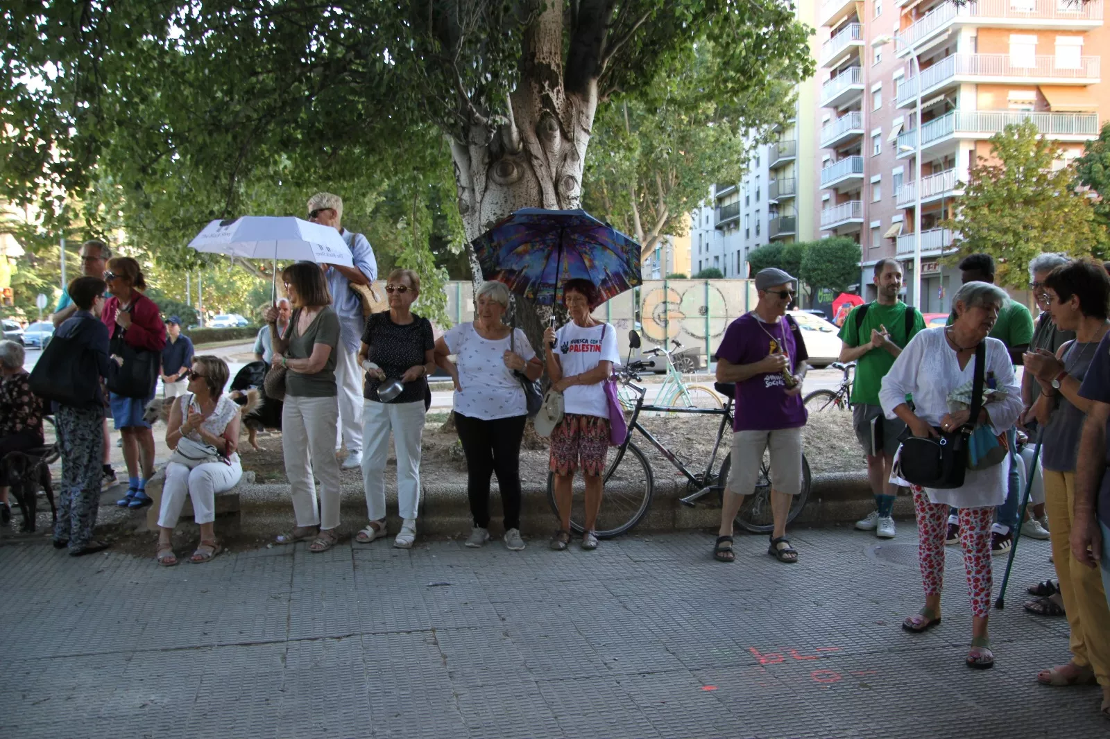 Nueva protesta contra la tala convocada por la Plataforma Árboles Vivos. Foto Carlos Neofato