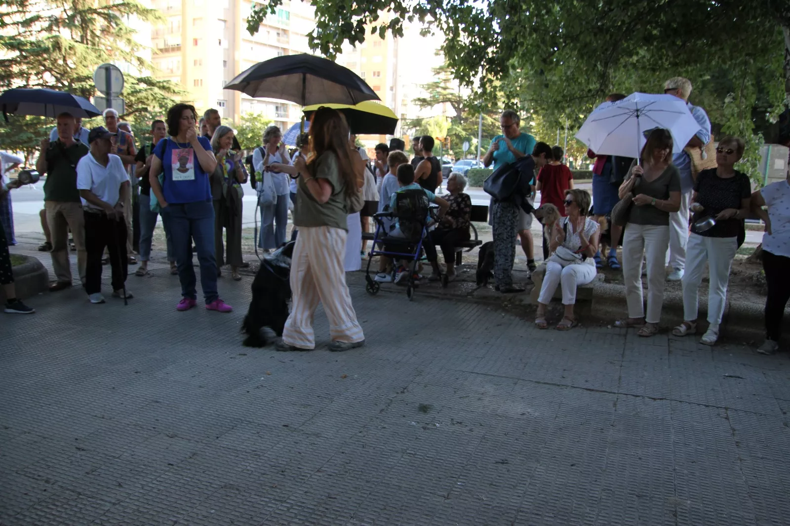 Nueva protesta contra la tala convocada por la Plataforma Árboles Vivos. Foto Carlos Neofato