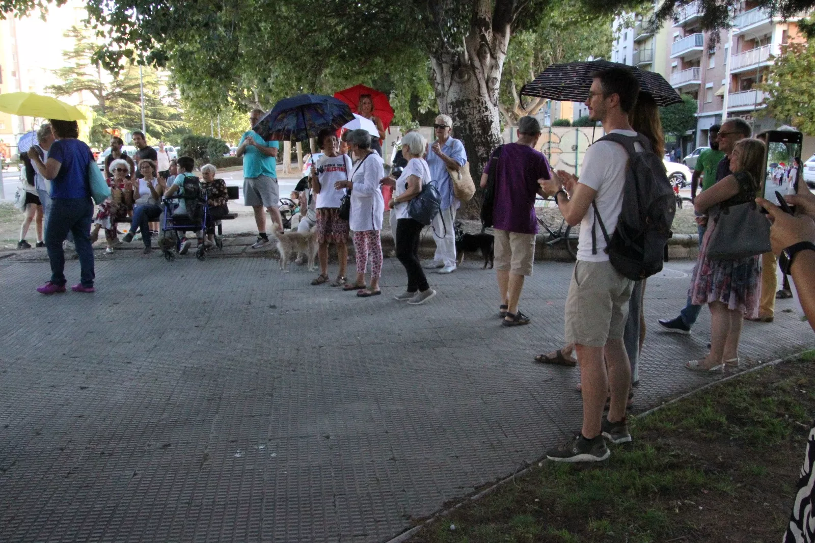 Nueva protesta contra la tala convocada por la Plataforma Árboles Vivos. Foto Carlos Neofato