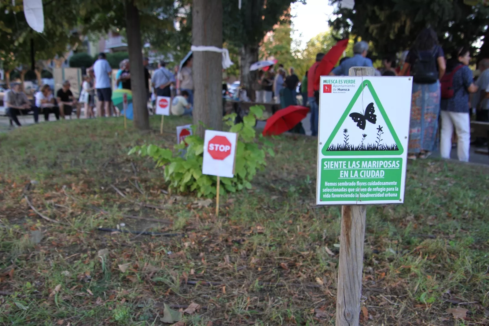 Nueva protesta contra la tala convocada por la Plataforma Árboles Vivos. Foto Carlos Neofato