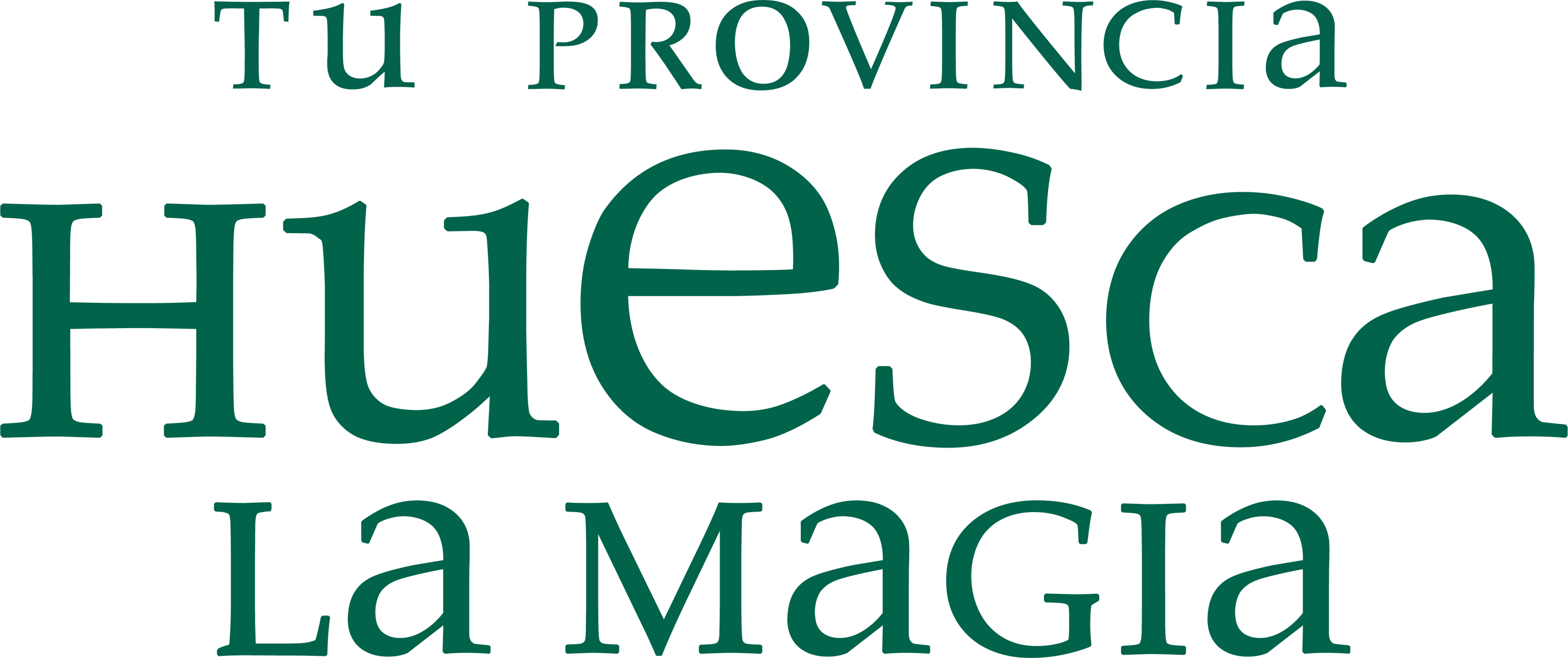 HLM Horizontal Color copia