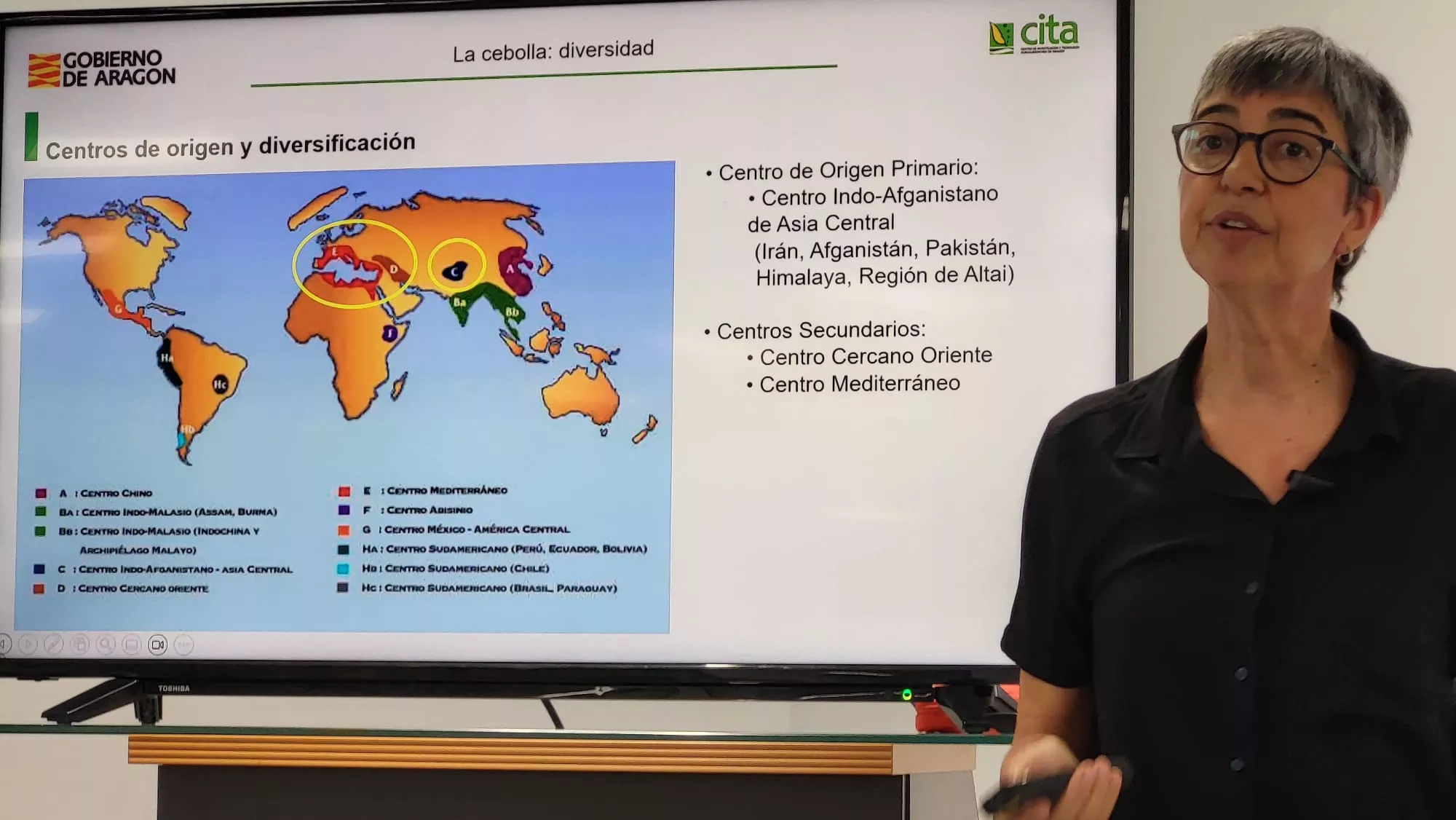 Presentación y cata de la Cebolla de Torres de Alcanadre