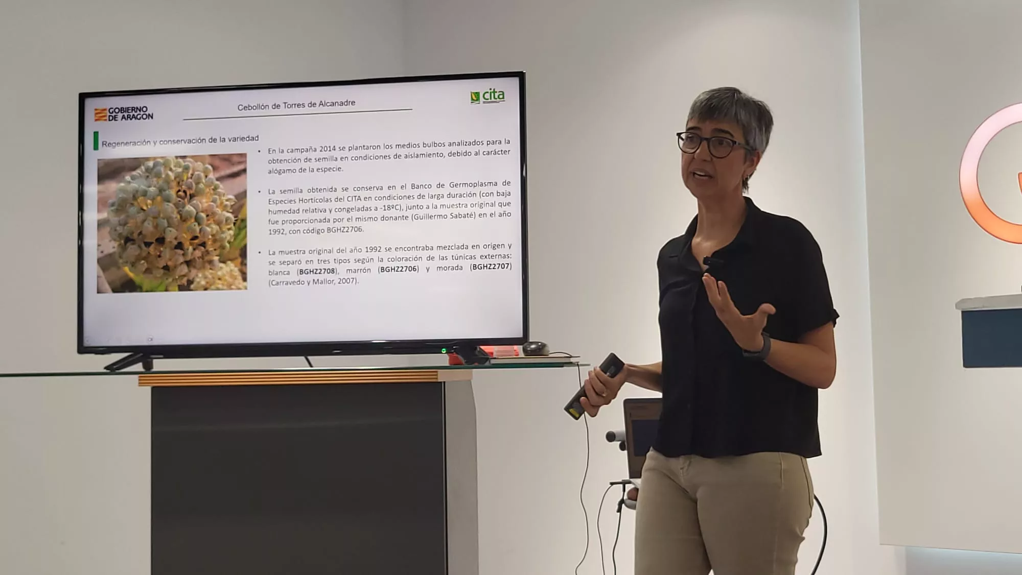 Presentación y cata de la Cebolla de Torres de Alcanadre
