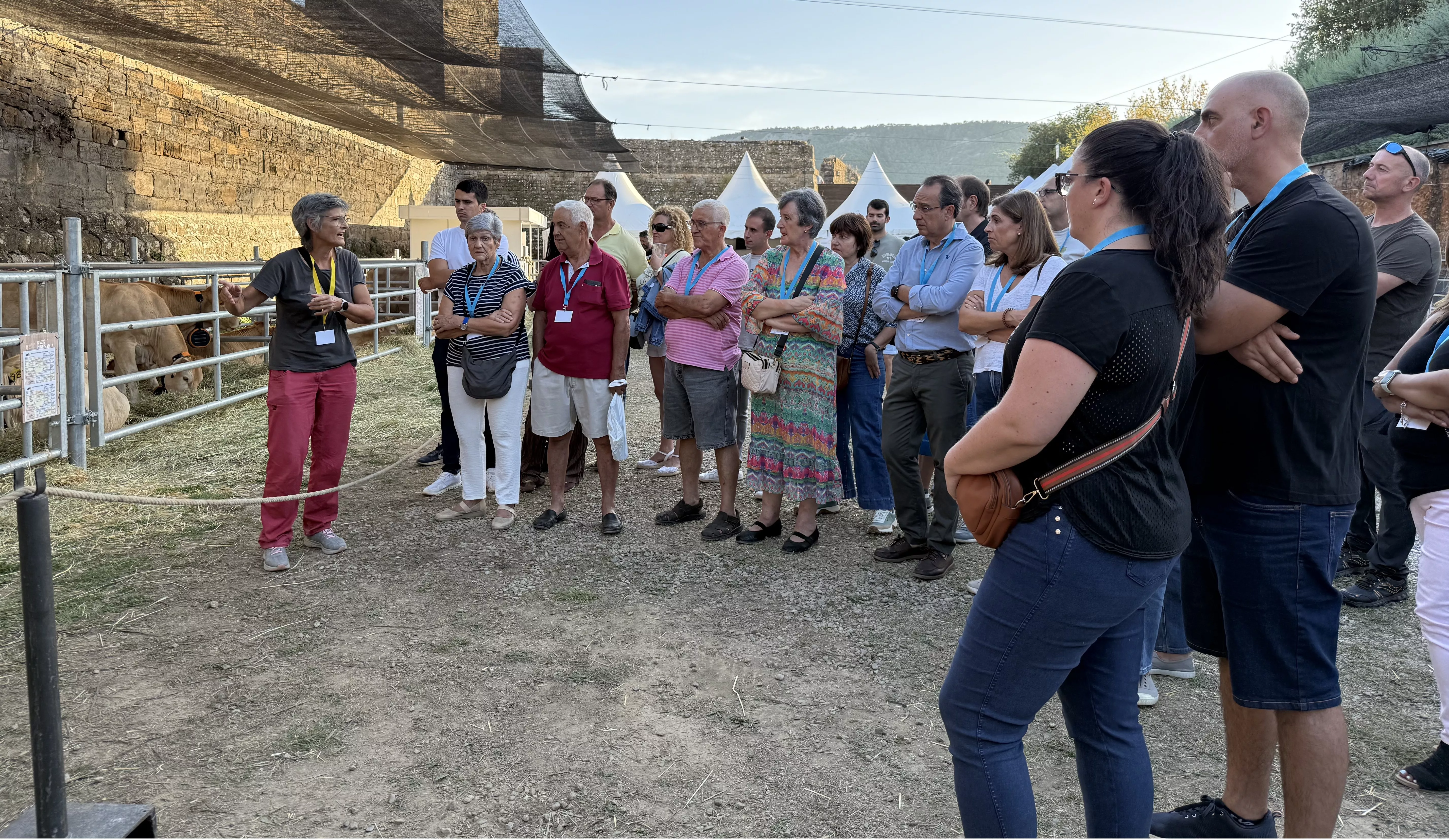 Explicaciones zootécnicas en el foso.