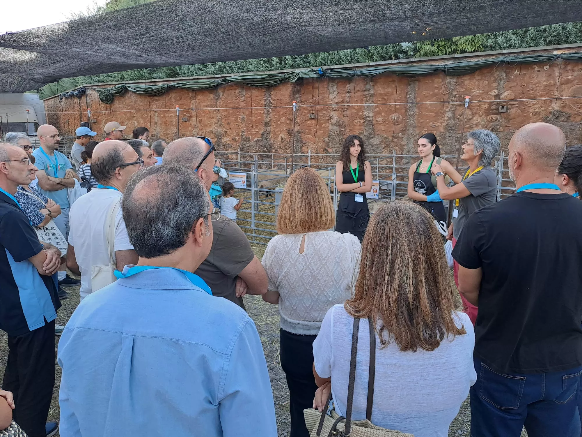 Jornadas de degustación de carnes pirenaicas de Asaja en Aínsa