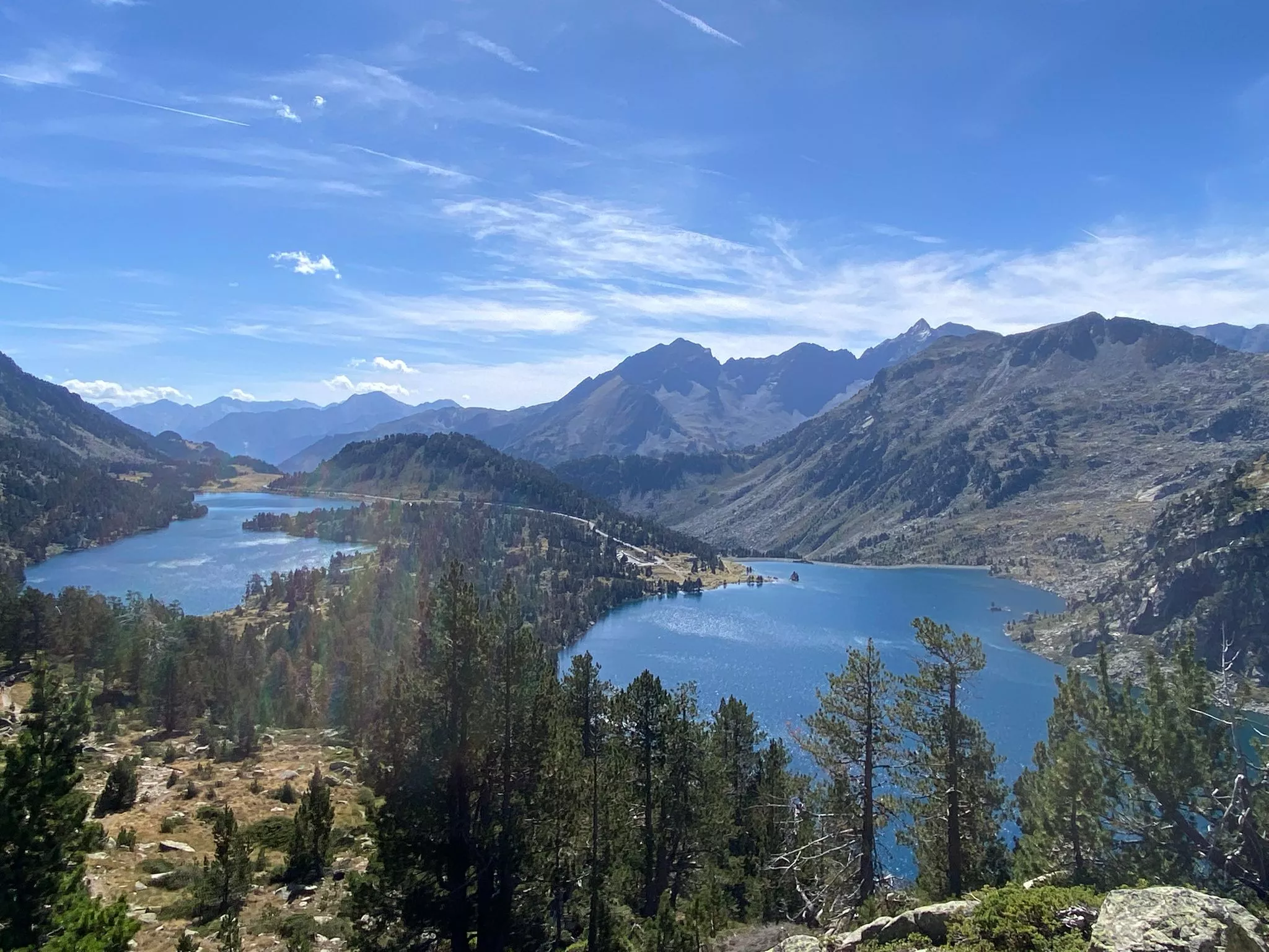 84e7dd31 5165 4d20 810d 65076d1d8525