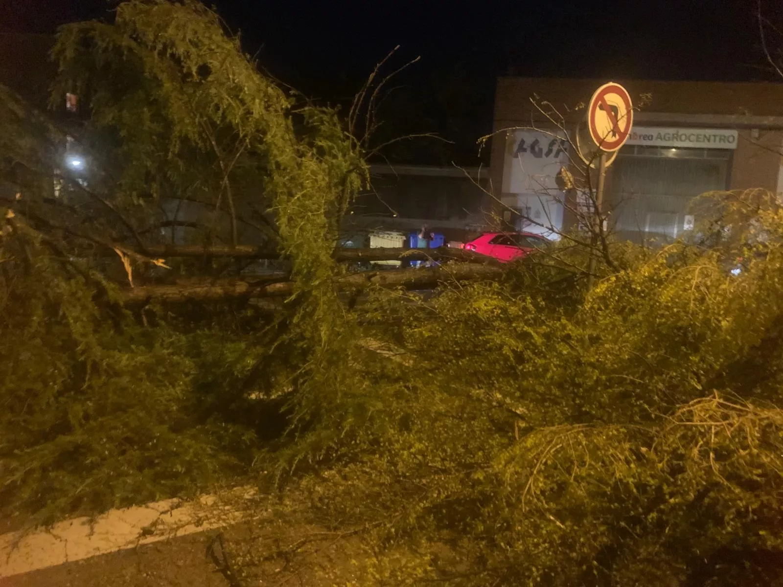 Árbol caído en la confluencia de la calle San Quílez y San José Artesano de Binéfar durante la tormenta.