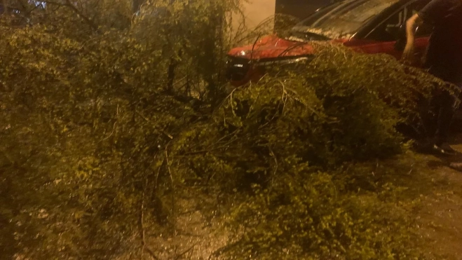 08625fb0 43d4 4137 9aee 7e8a5891c5bd