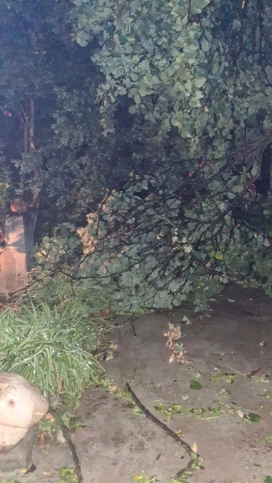 Daños causados por una fuerte tormenta en Binéfar.