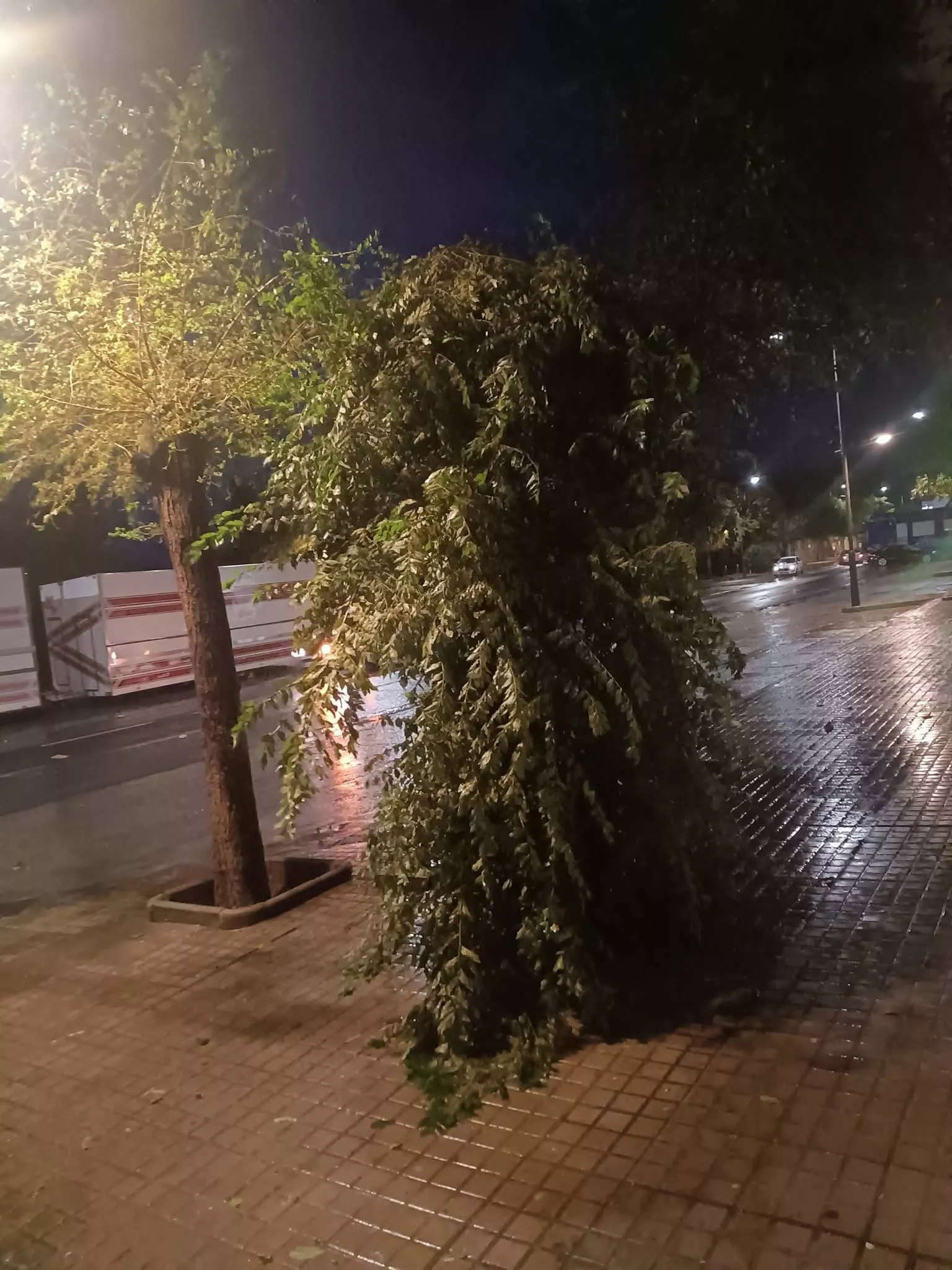 Daños causados por una fuerte tormenta en Binéfar.