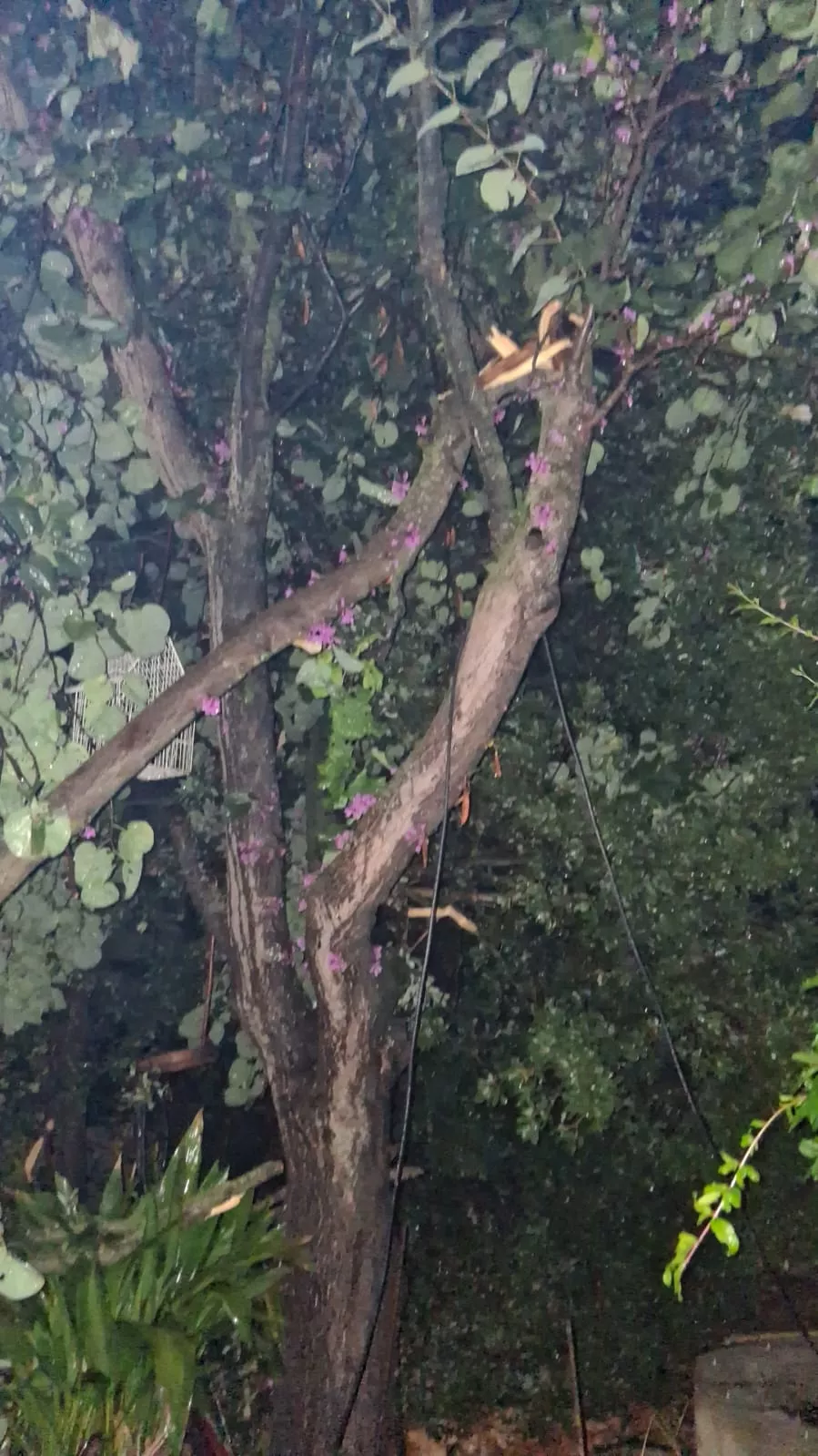 Daños causados por una fuerte tormenta en Binéfar.