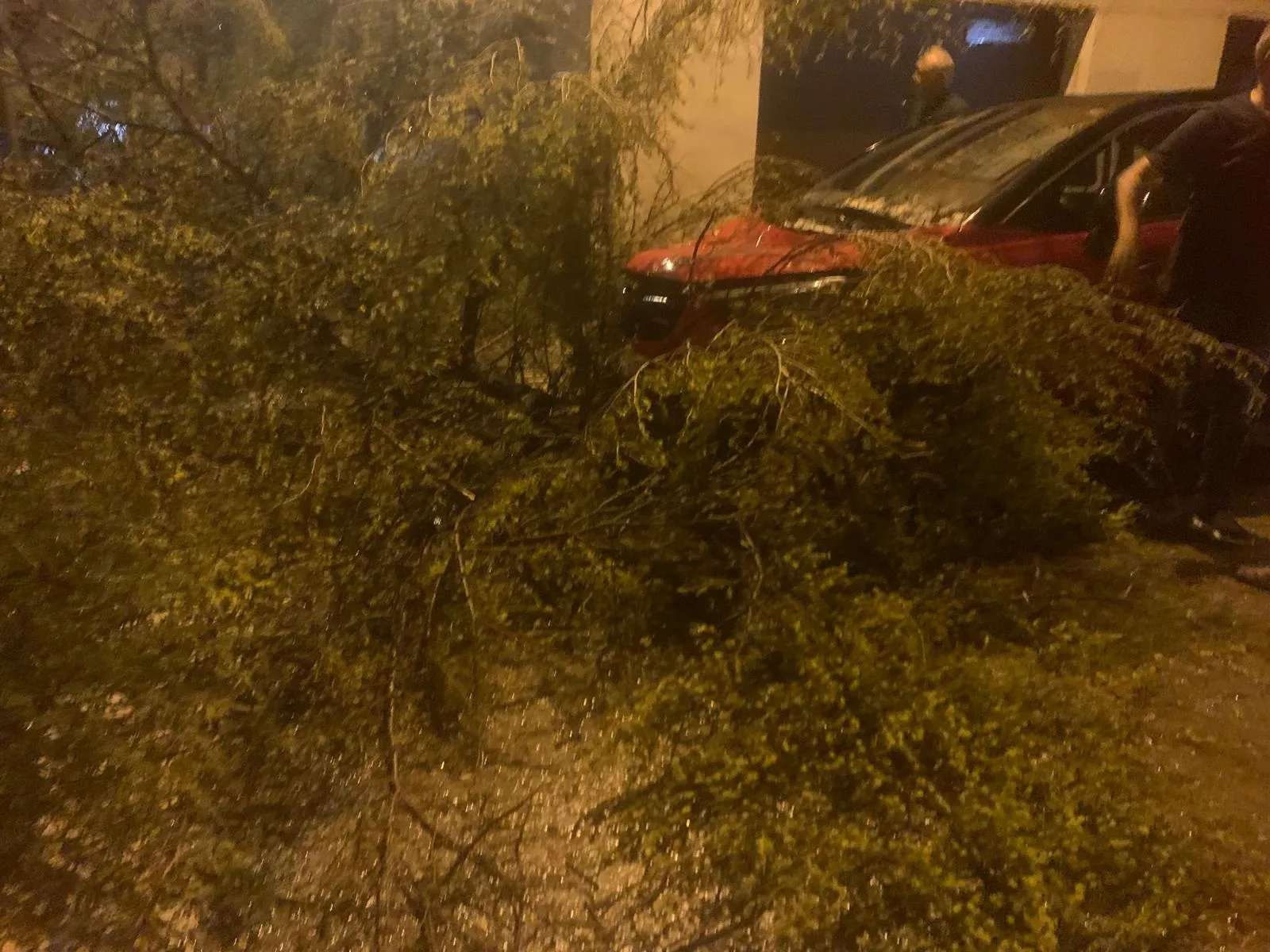 Daños causados por una fuerte tormenta en Binéfar.