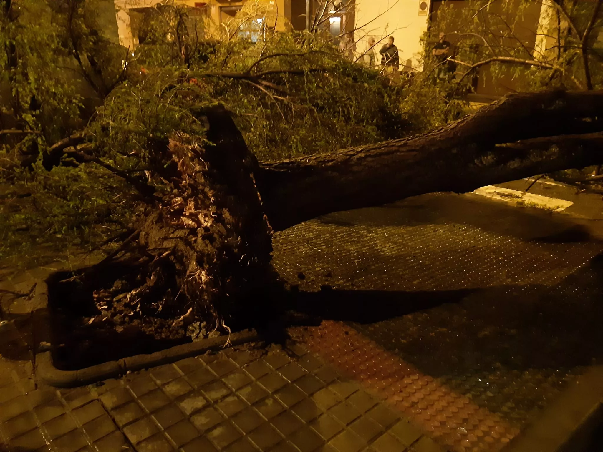 Daños causados por una fuerte tormenta en Binéfar.