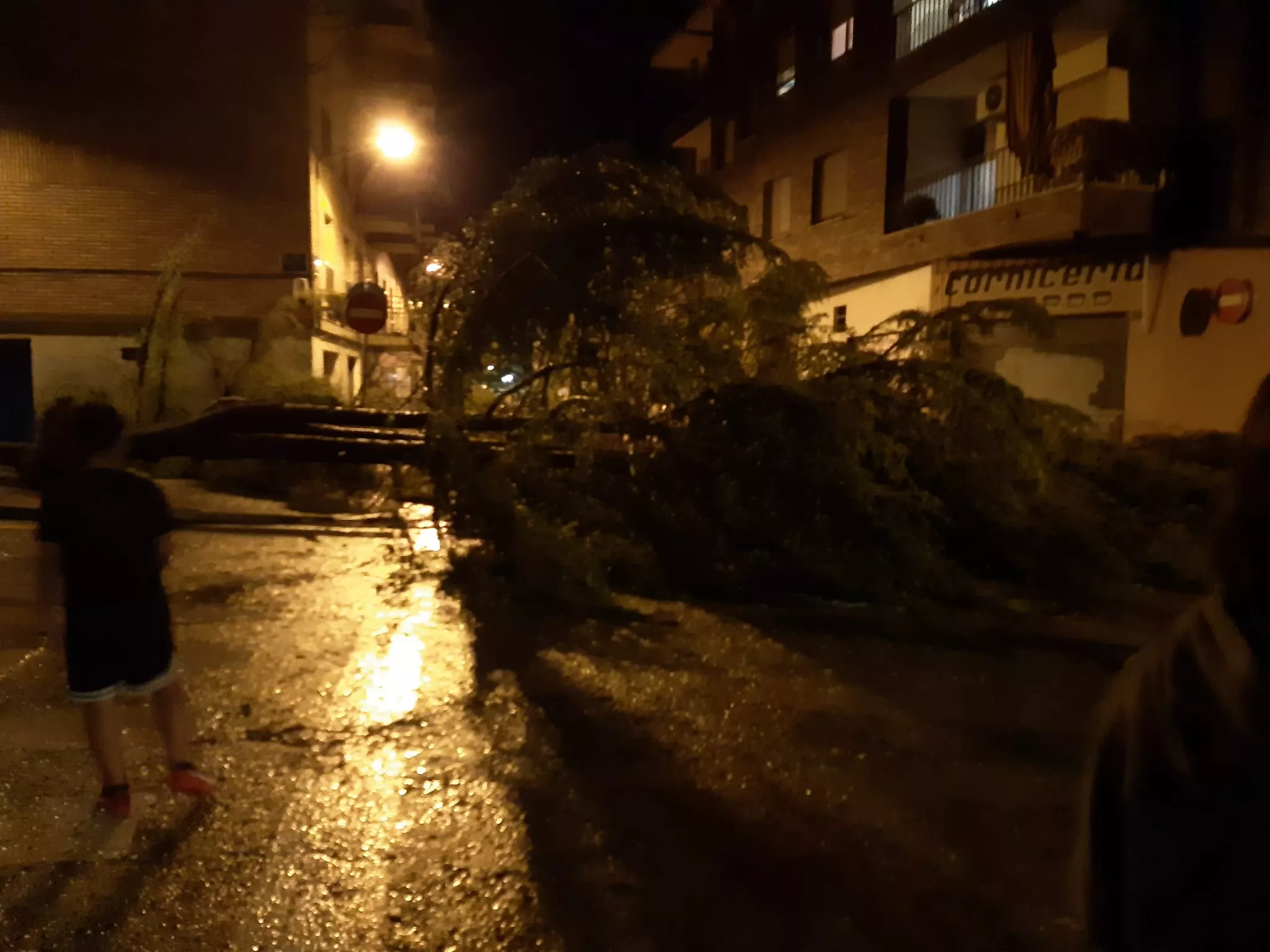 Daños causados por una fuerte tormenta en Binéfar.