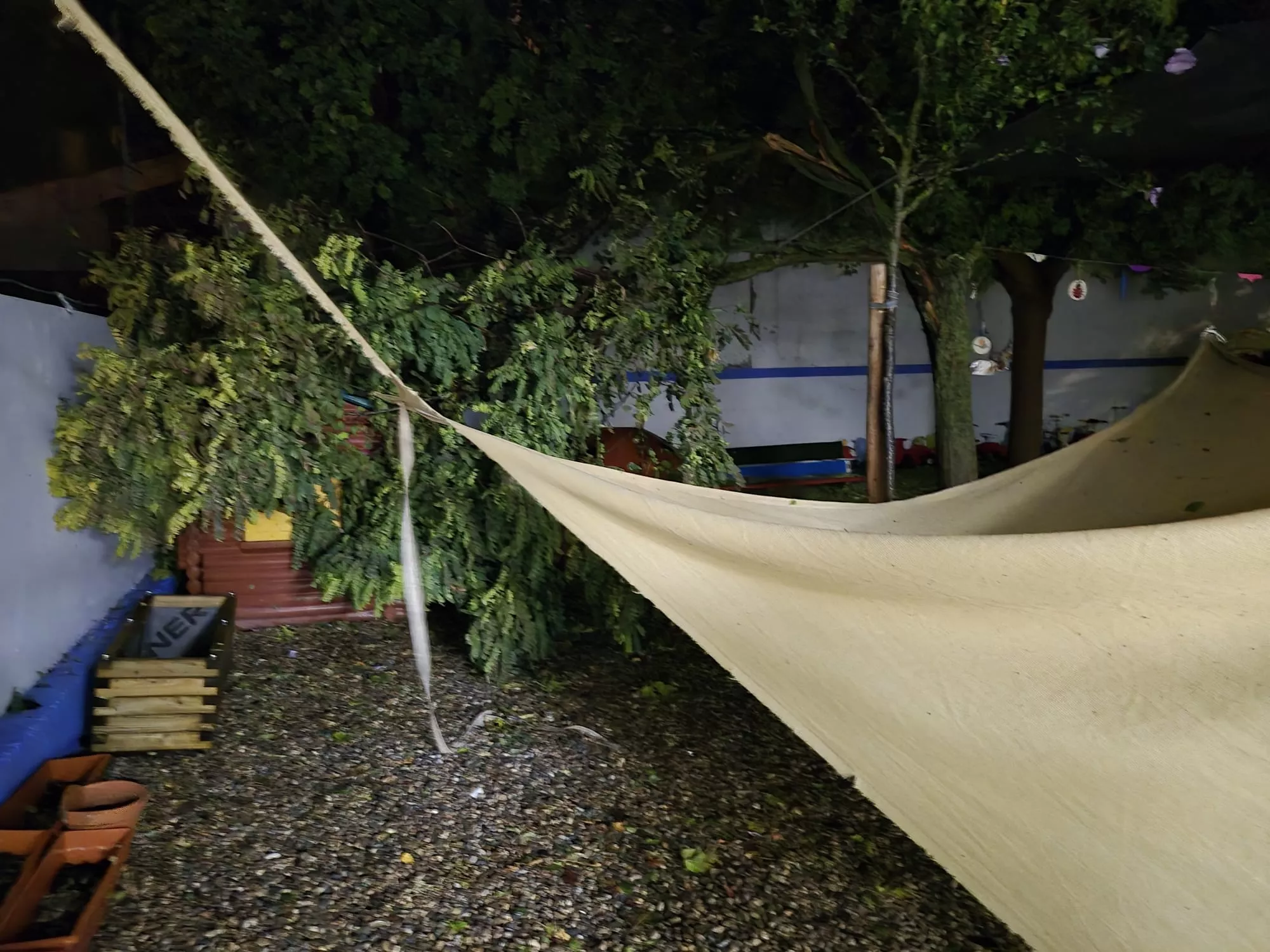 Árbol caído en la Escuela Infantil.
