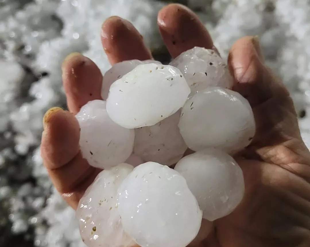 Granizo recogido tras la tormenta en Castillo del Plá de Benabarre. Foto Granja la Fondaña
