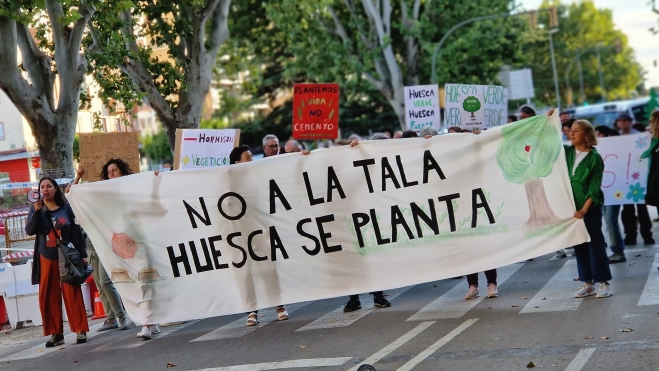 Manifestación en contra de la tala de árboles. Foto Myriam Martínez Manifestación en contra de la tala de árboles. Foto Myriam Martínez