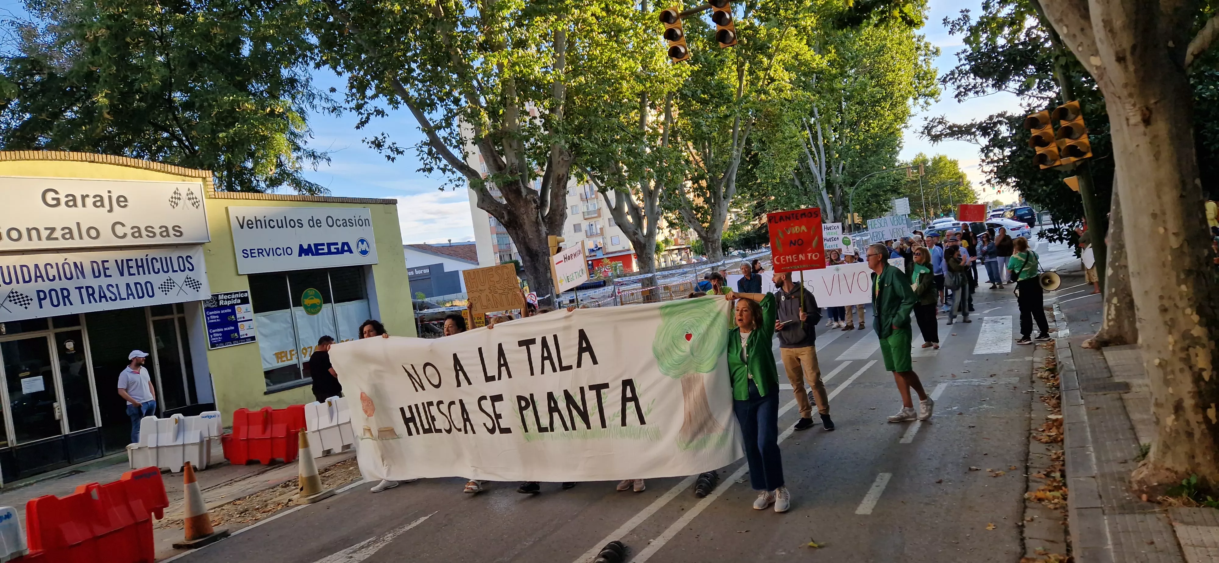 Manifestación en contra de la tala de árboles. Foto Myriam Martínez