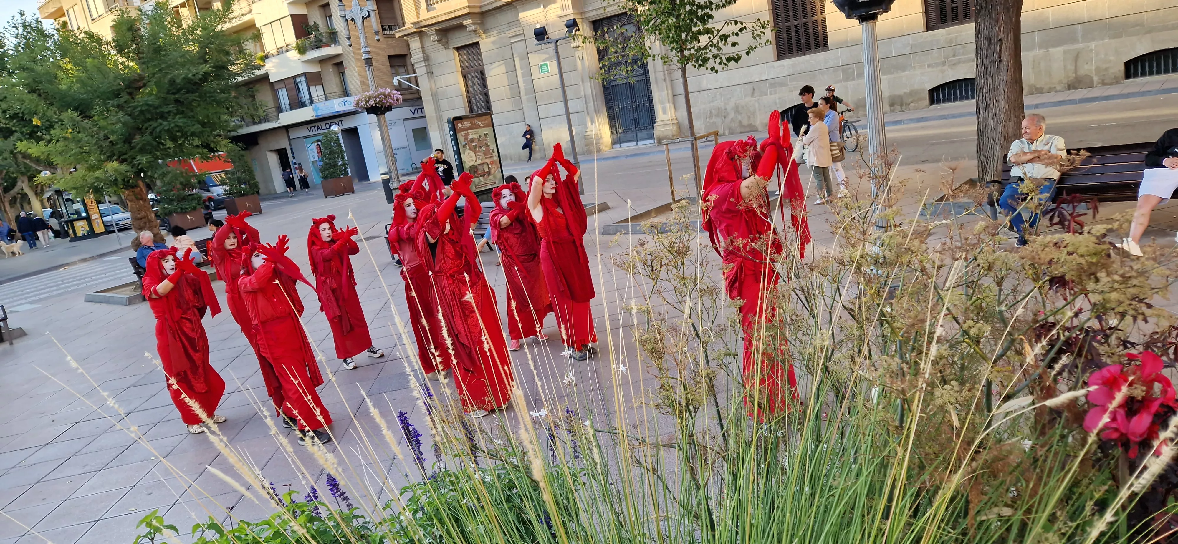 Manifestación en contra de la tala de árboles. Foto Myriam Martínez