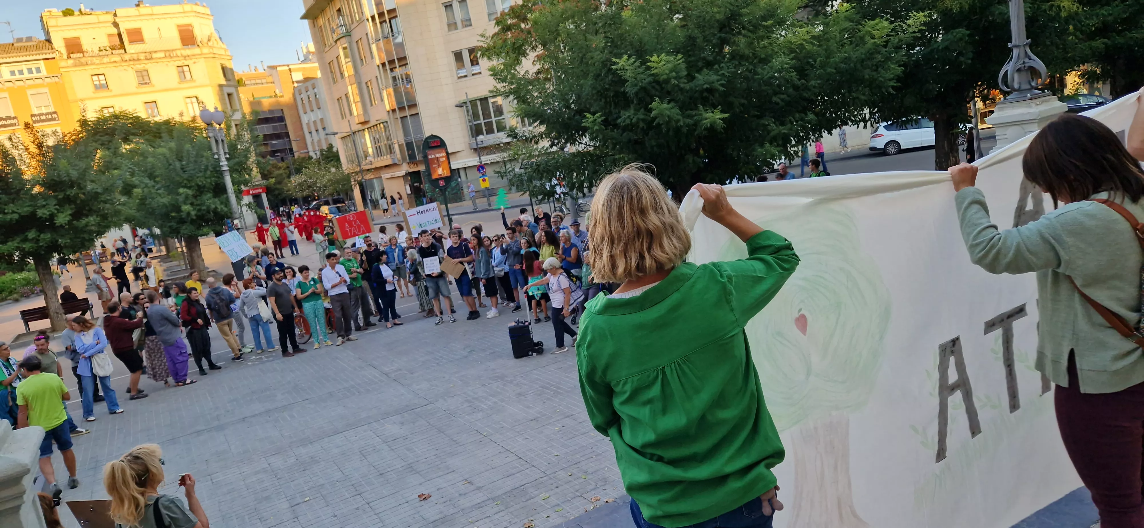 Manifestación en contra de la tala de árboles. Foto Myriam Martínez