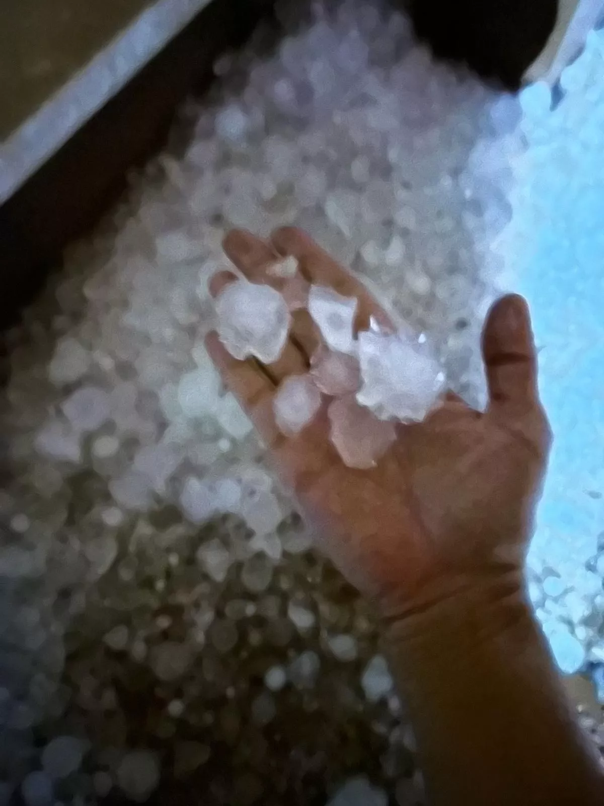 Granizadas en Somontano, Litera y La Hoya. Foto Asaja Huesca