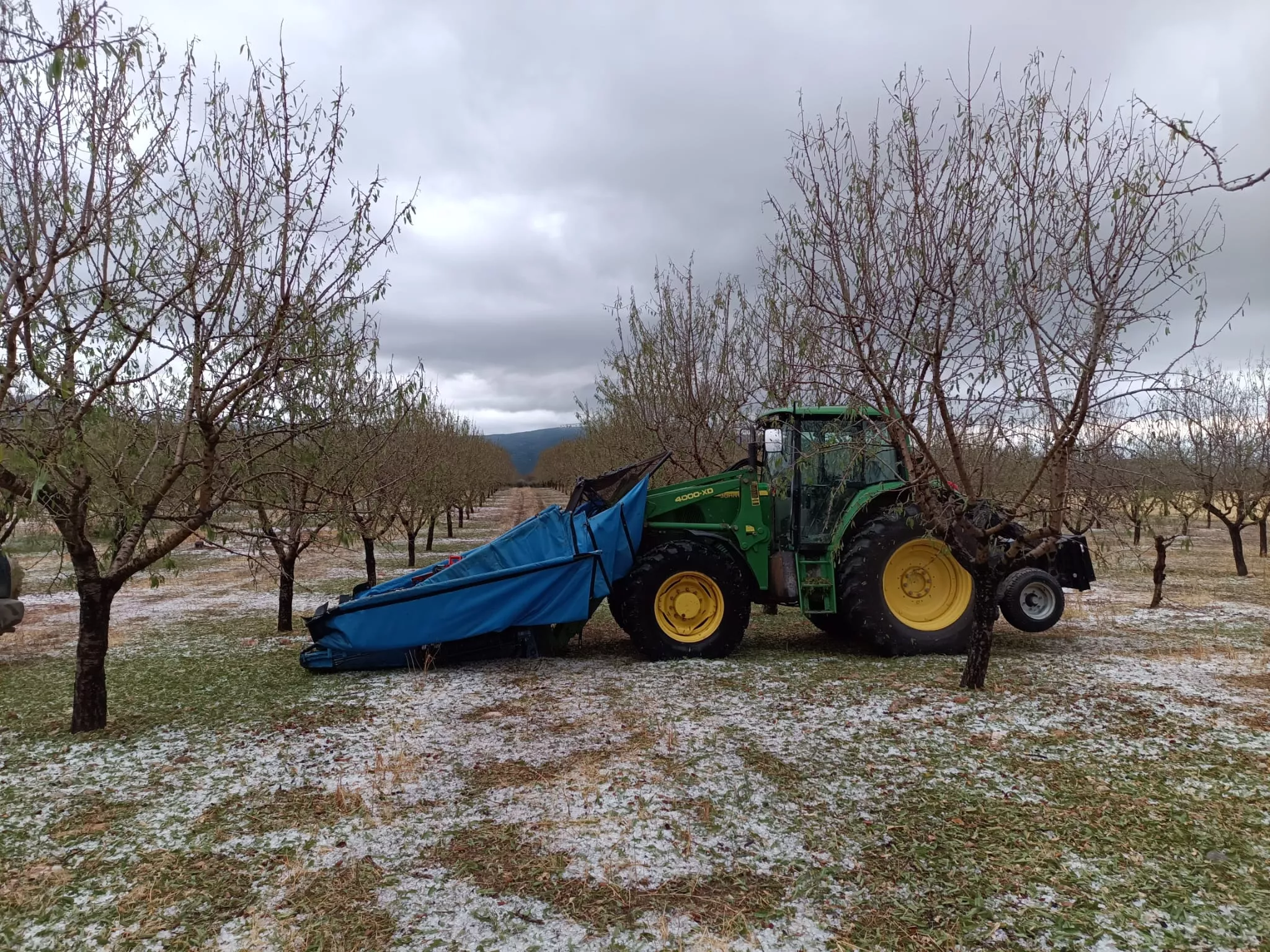 Granizadas en Somontano, Litera y La Hoya. Foto Asaja Huesca