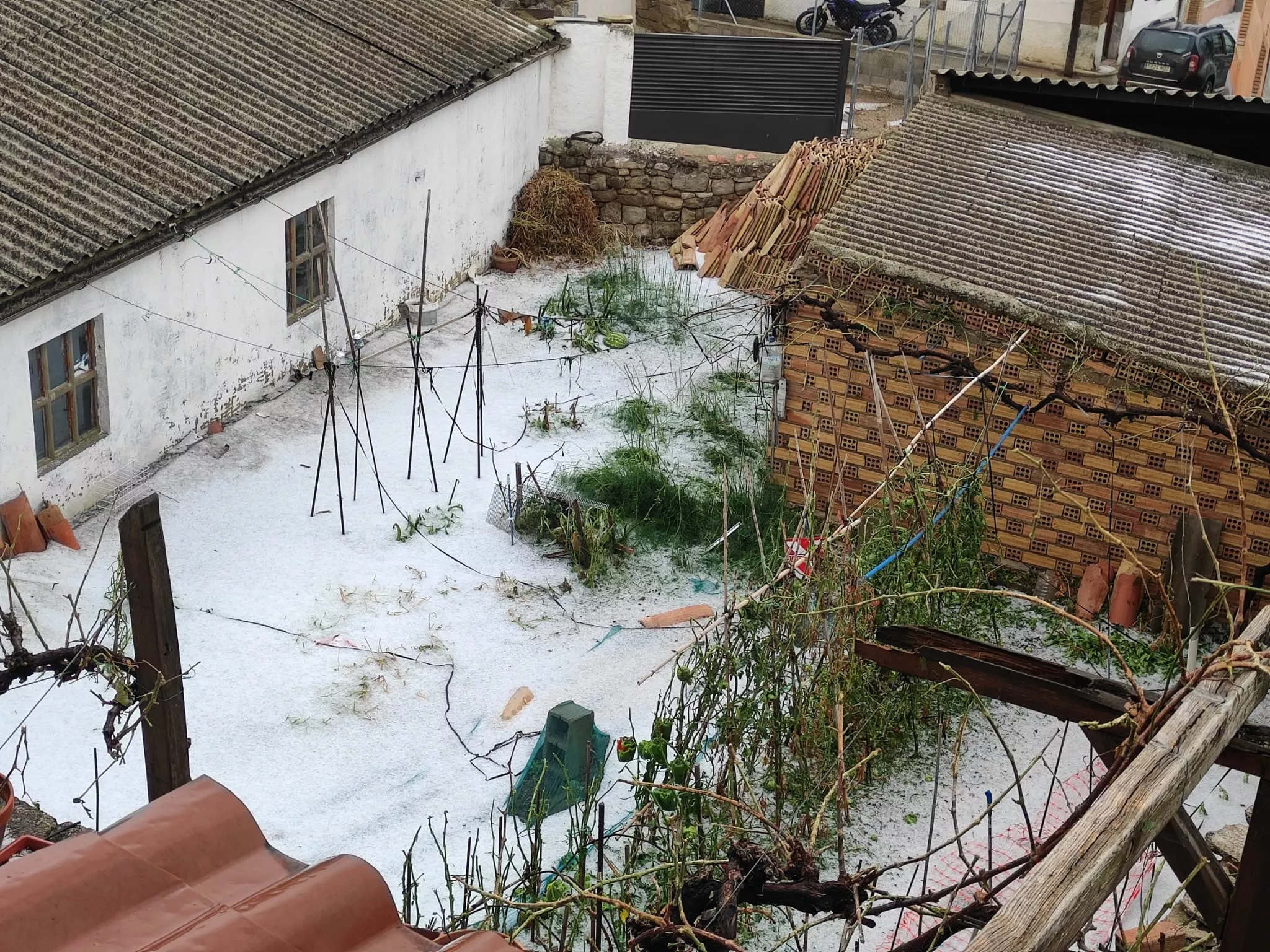 Imagen de WhatsApp 2025 09 13 a las 09.28.39 25b55e10