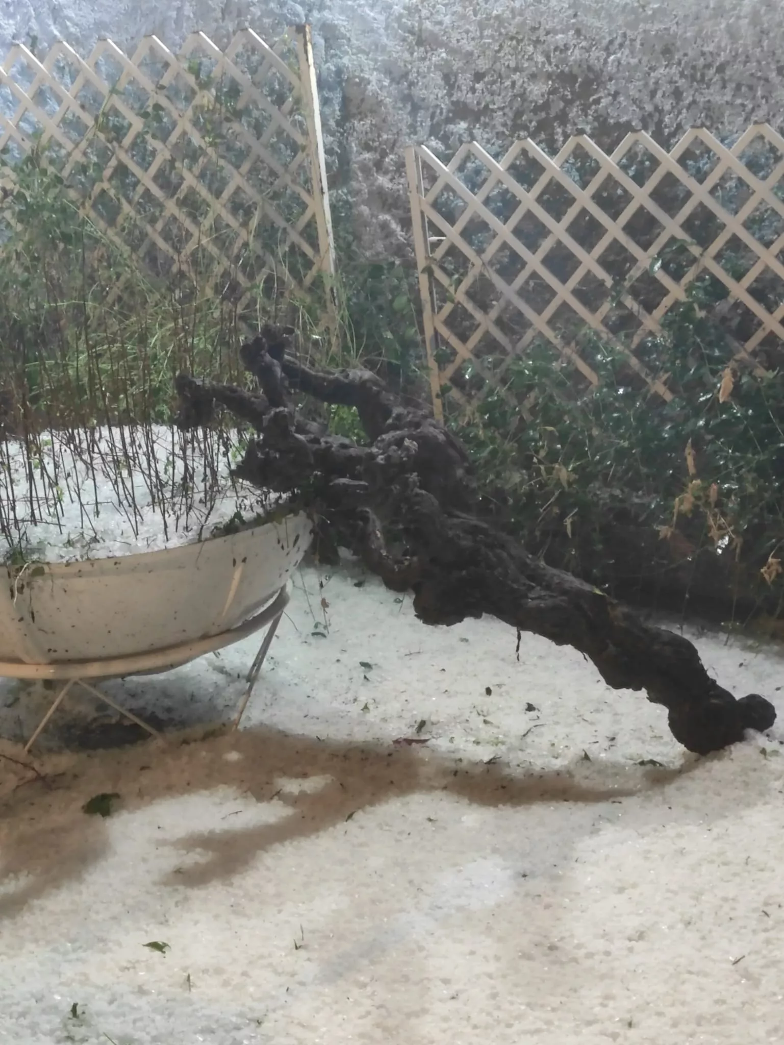 Granizadas en Somontano, Litera y La Hoya. Foto Fernando Paúles