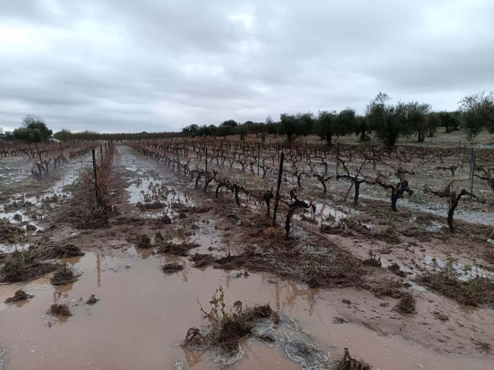 Granizadas en Somontano, Litera y La Hoya.