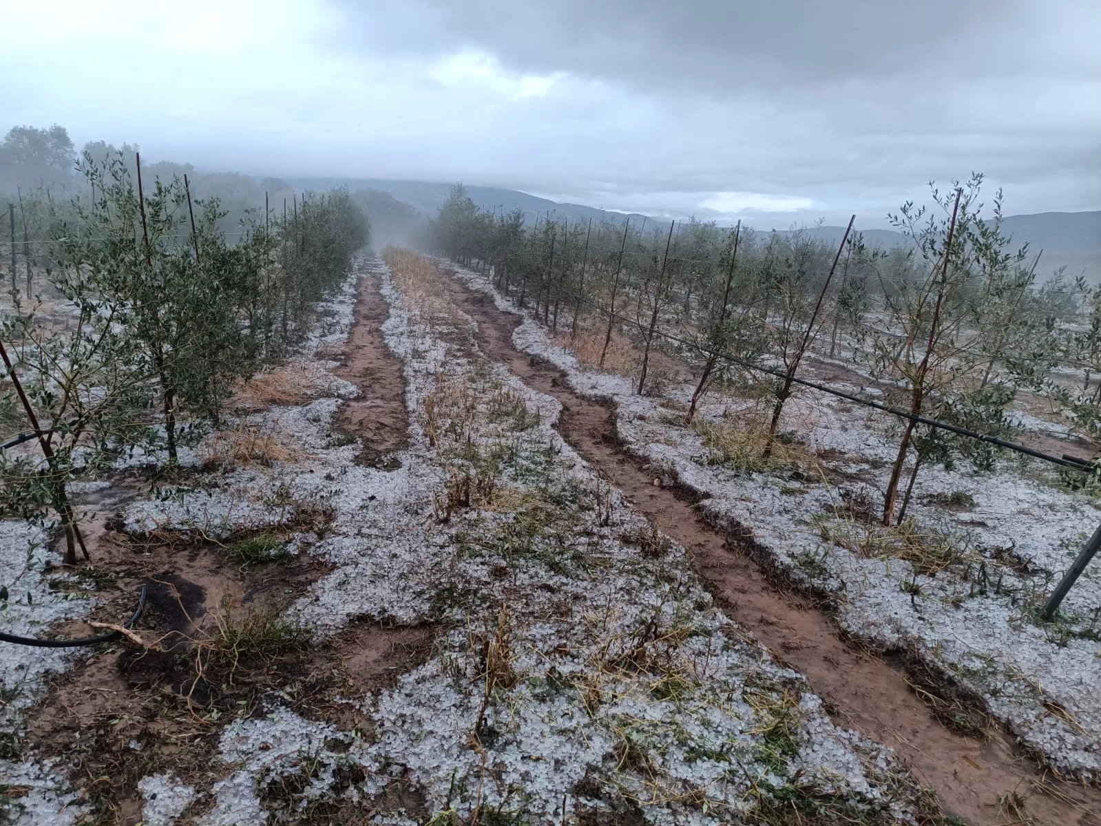 Granizadas en Somontano, Litera y La Hoya. 