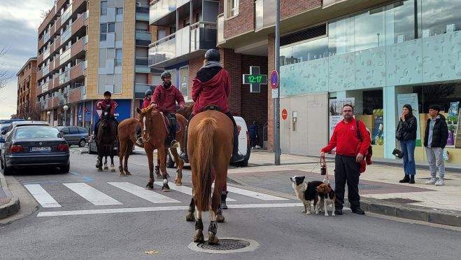 Caballos y perros en la plaza Santa Clara tras la bendición. Caballos y perros en la plaza Santa Clara tras la bendición.