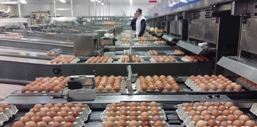 Las inversiones previstas por las empresas beneficiarias es de 300 millones de euros