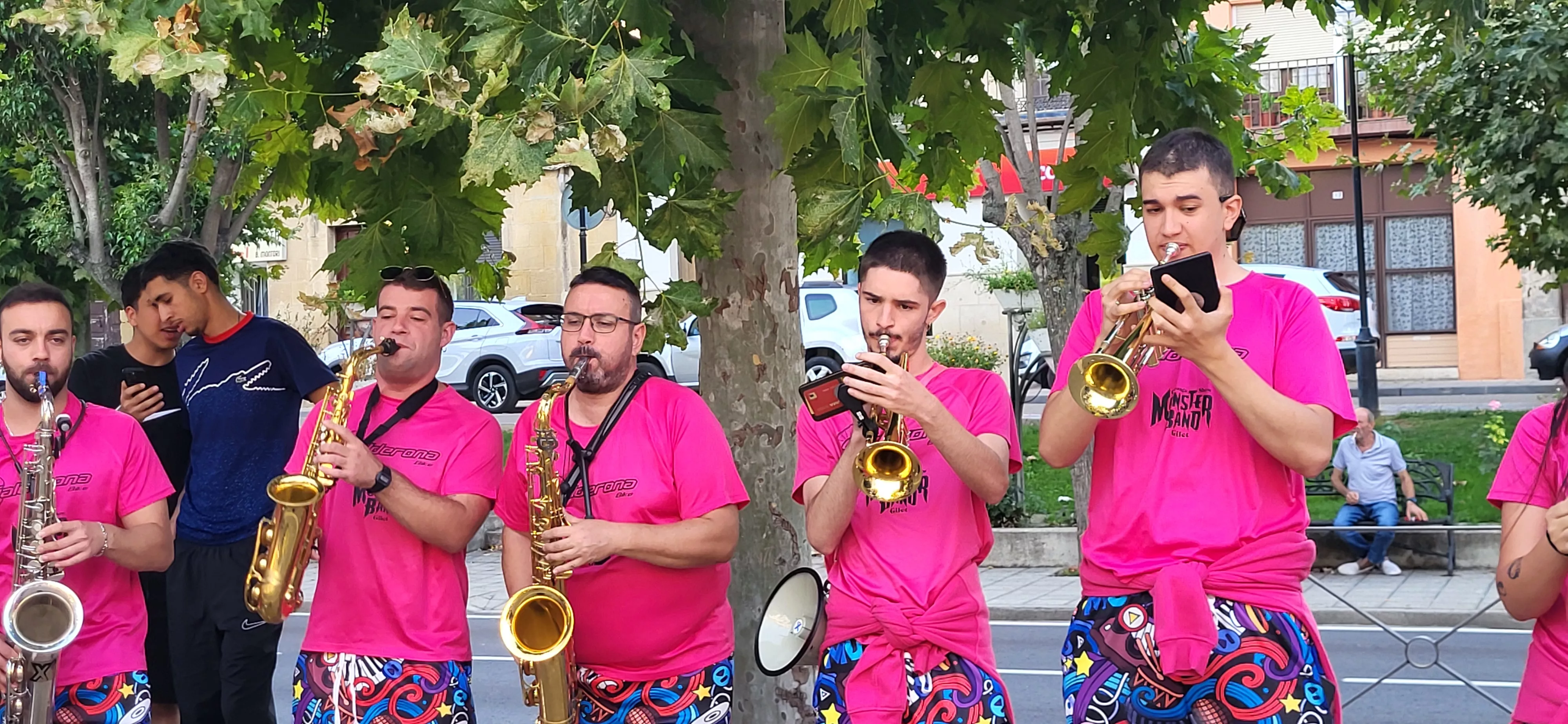 Madero enjabonado en las fiestas de Ayerbe. Foto Mercedes Manterola