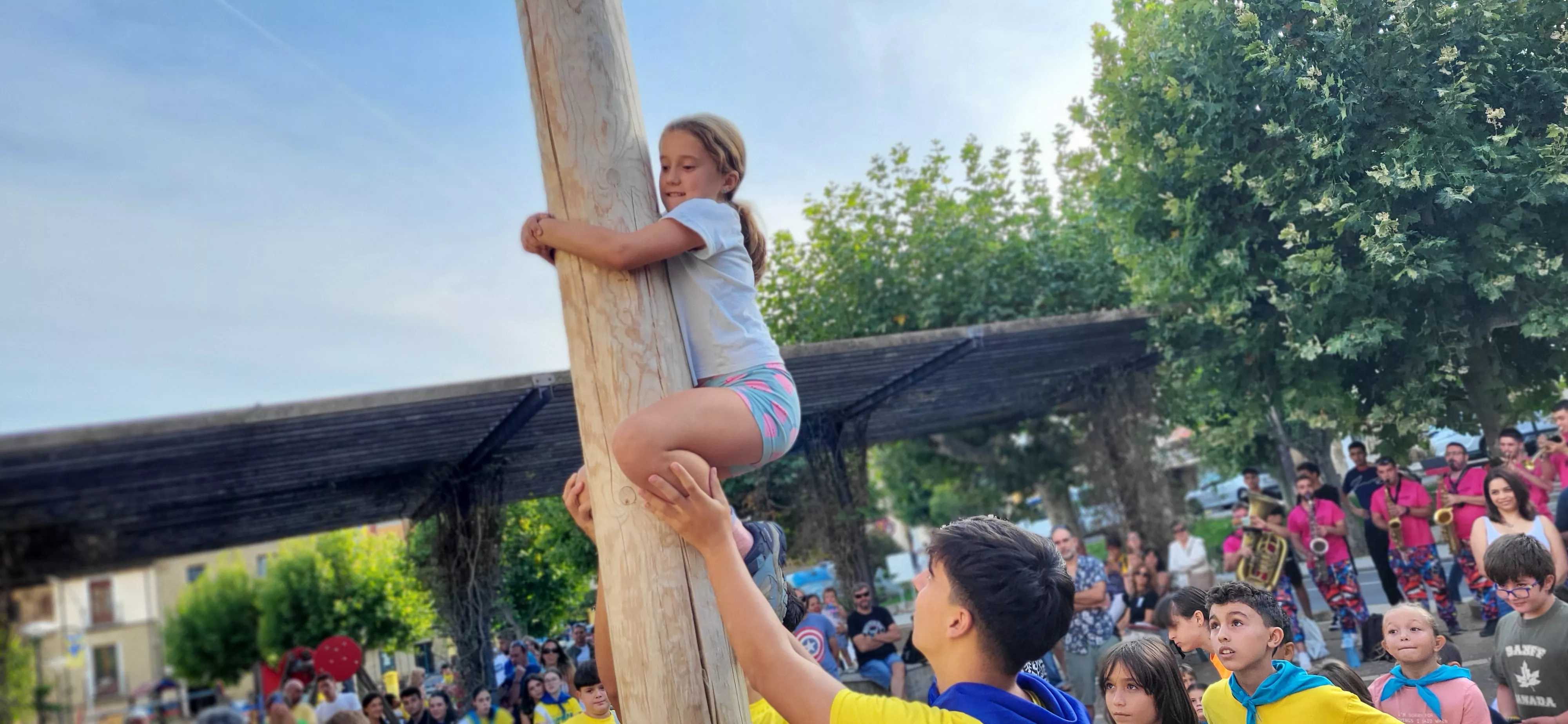 Madero enjabonado en las fiestas de Ayerbe. Foto Mercedes Manterola
