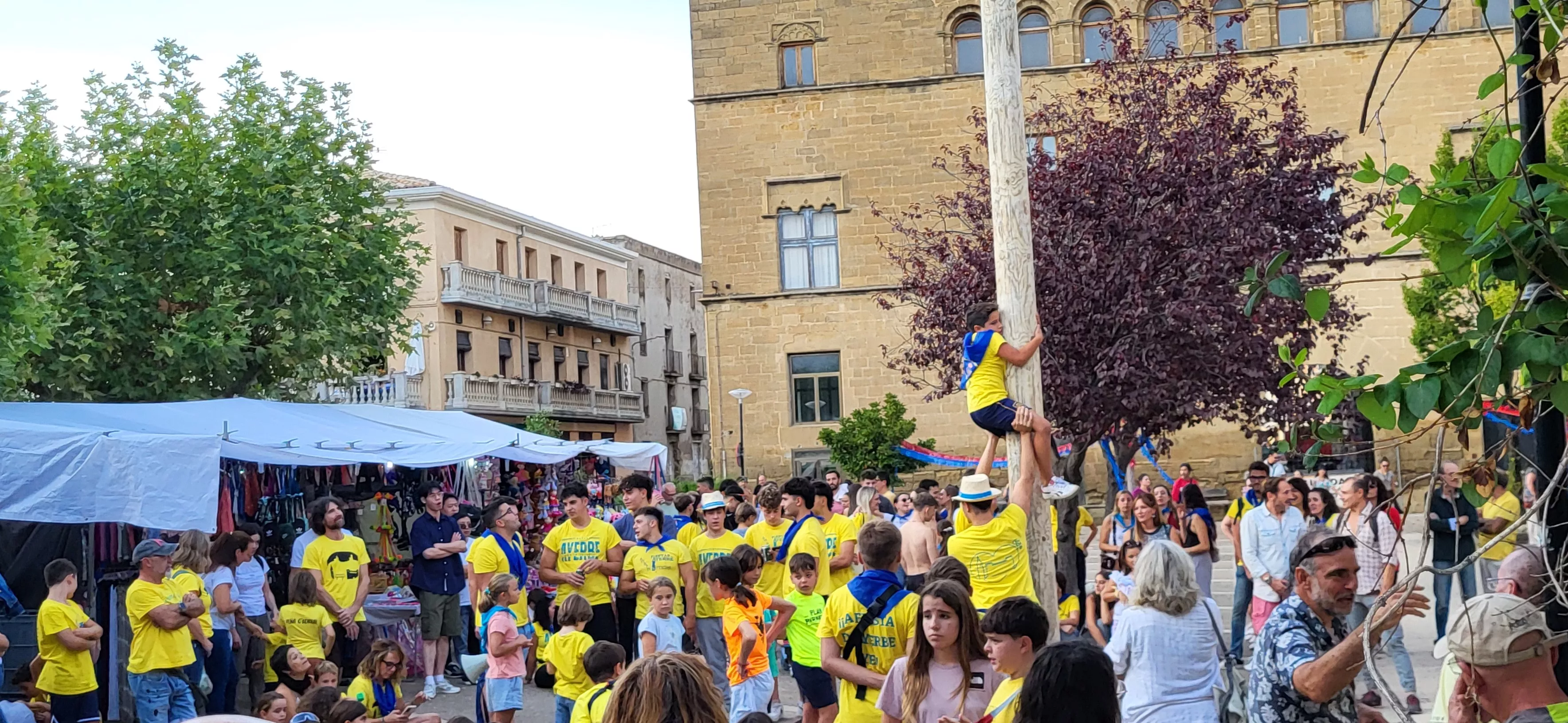 Madero enjabonado en las fiestas de Ayerbe. Foto Mercedes Manterola