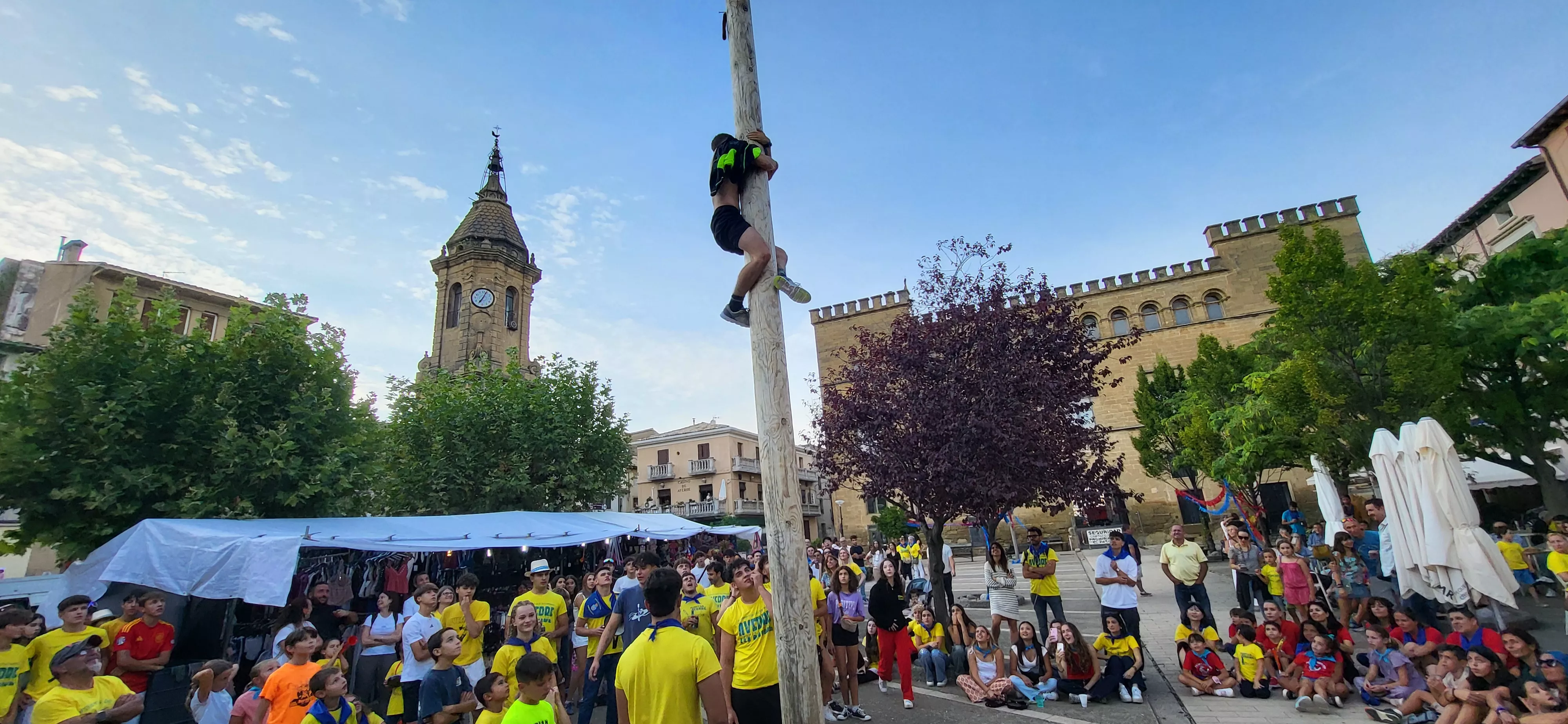 Madero enjabonado en las fiestas de Ayerbe. Foto Mercedes Manterola