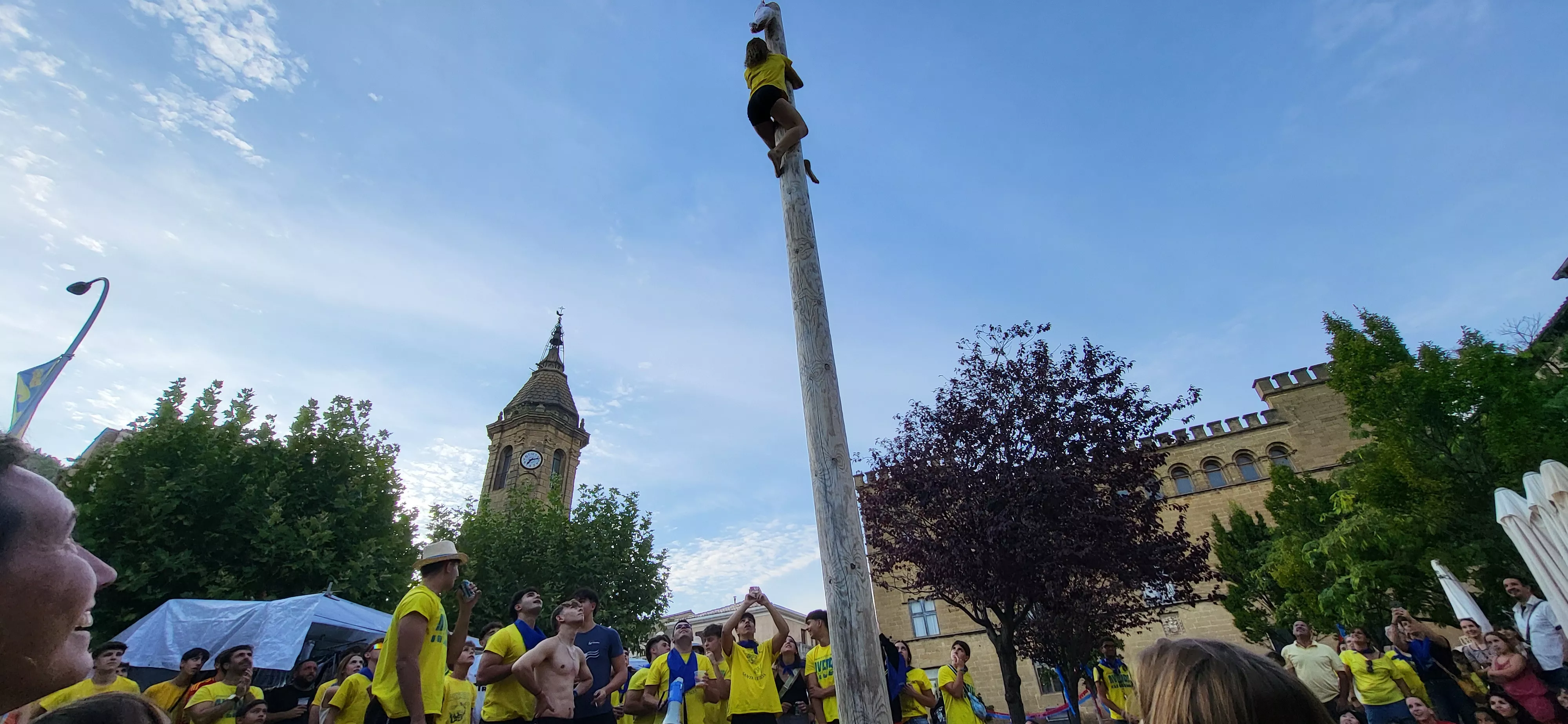 Madero enjabonado en las fiestas de Ayerbe. Foto Mercedes Manterola